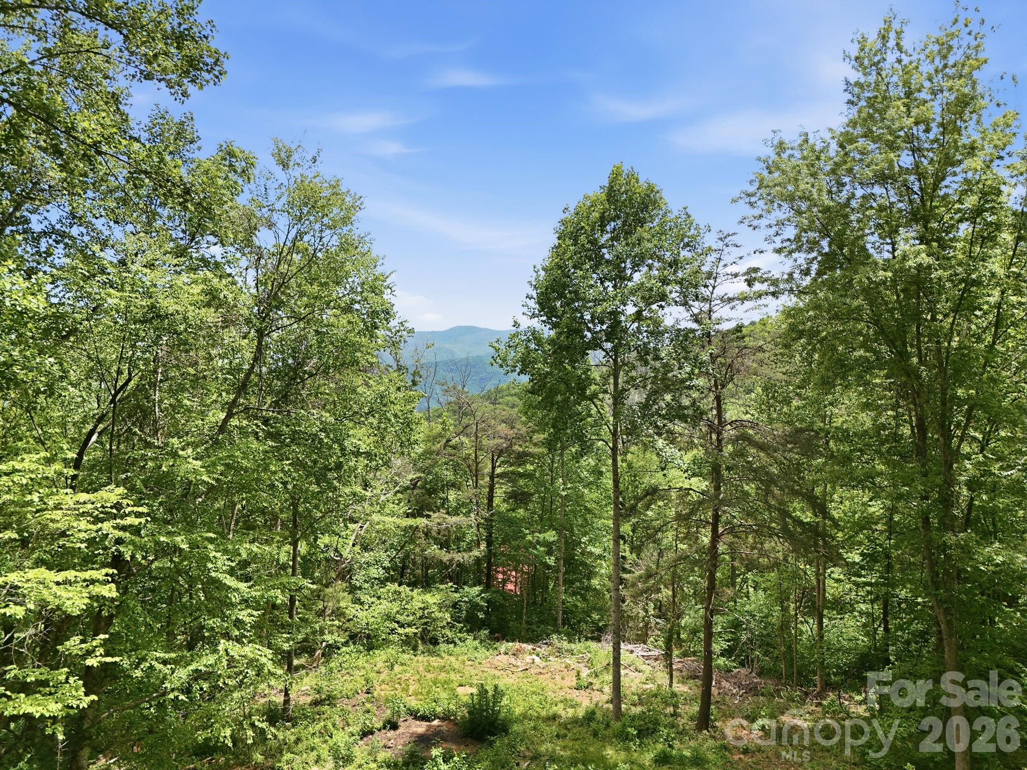 00 Cobblestone Drive Waynesville NC 28786