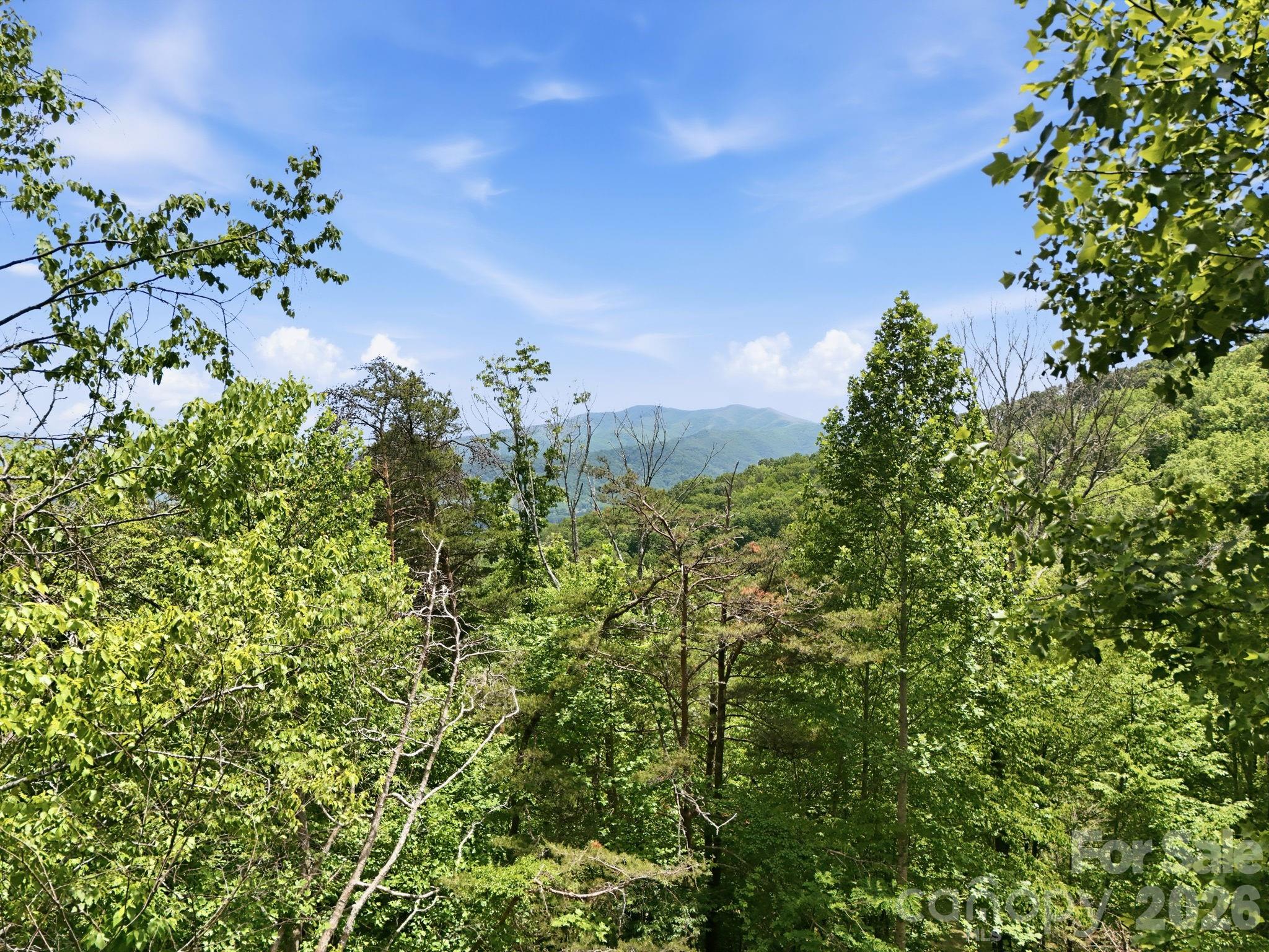00 Cobblestone Drive Waynesville NC 28786