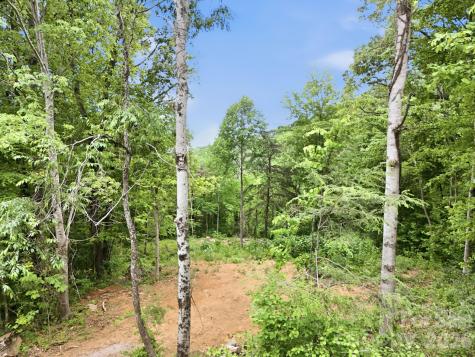 00 Cobblestone Drive Waynesville NC 28786