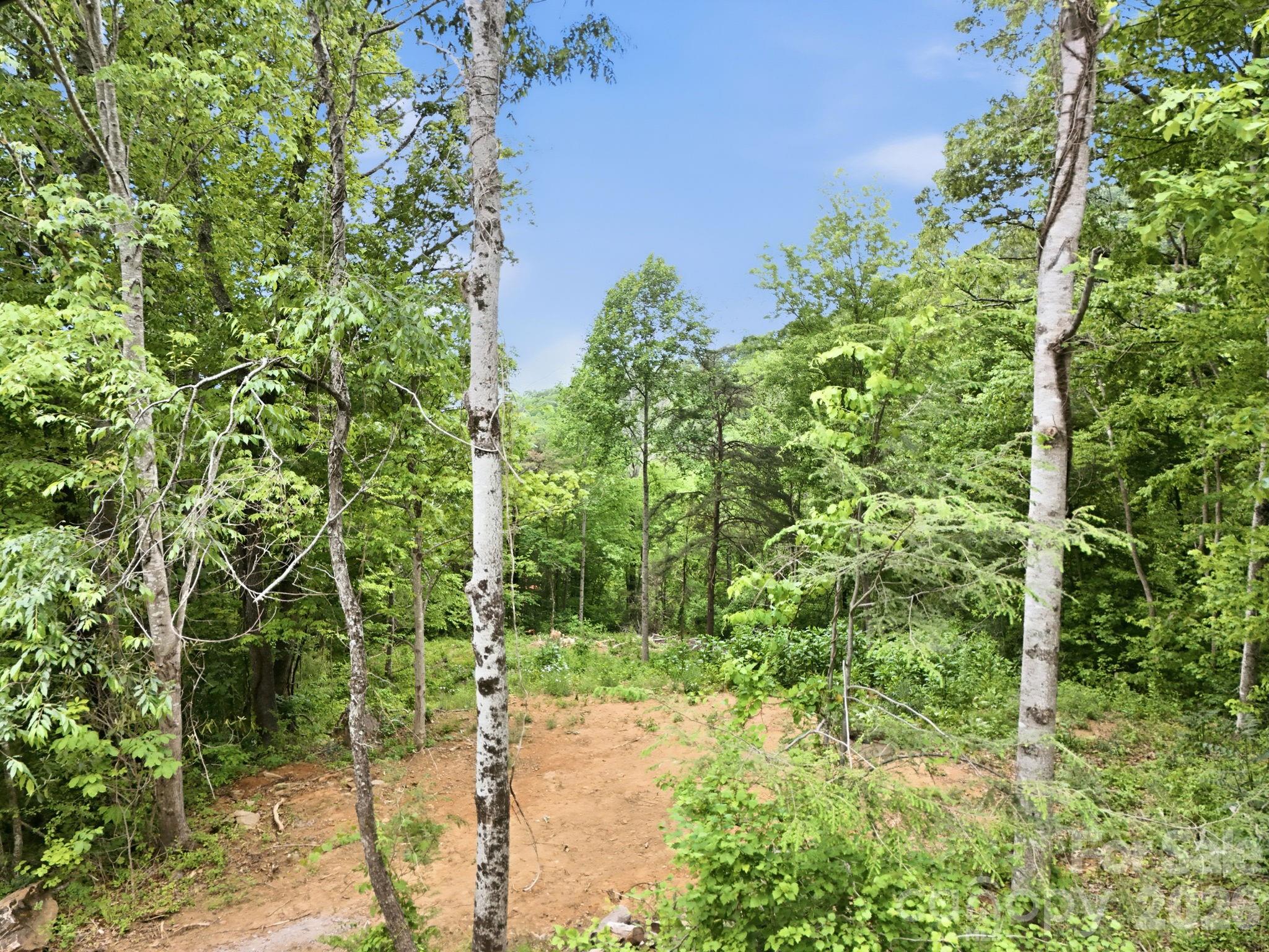 00 Cobblestone Drive Waynesville NC 28786