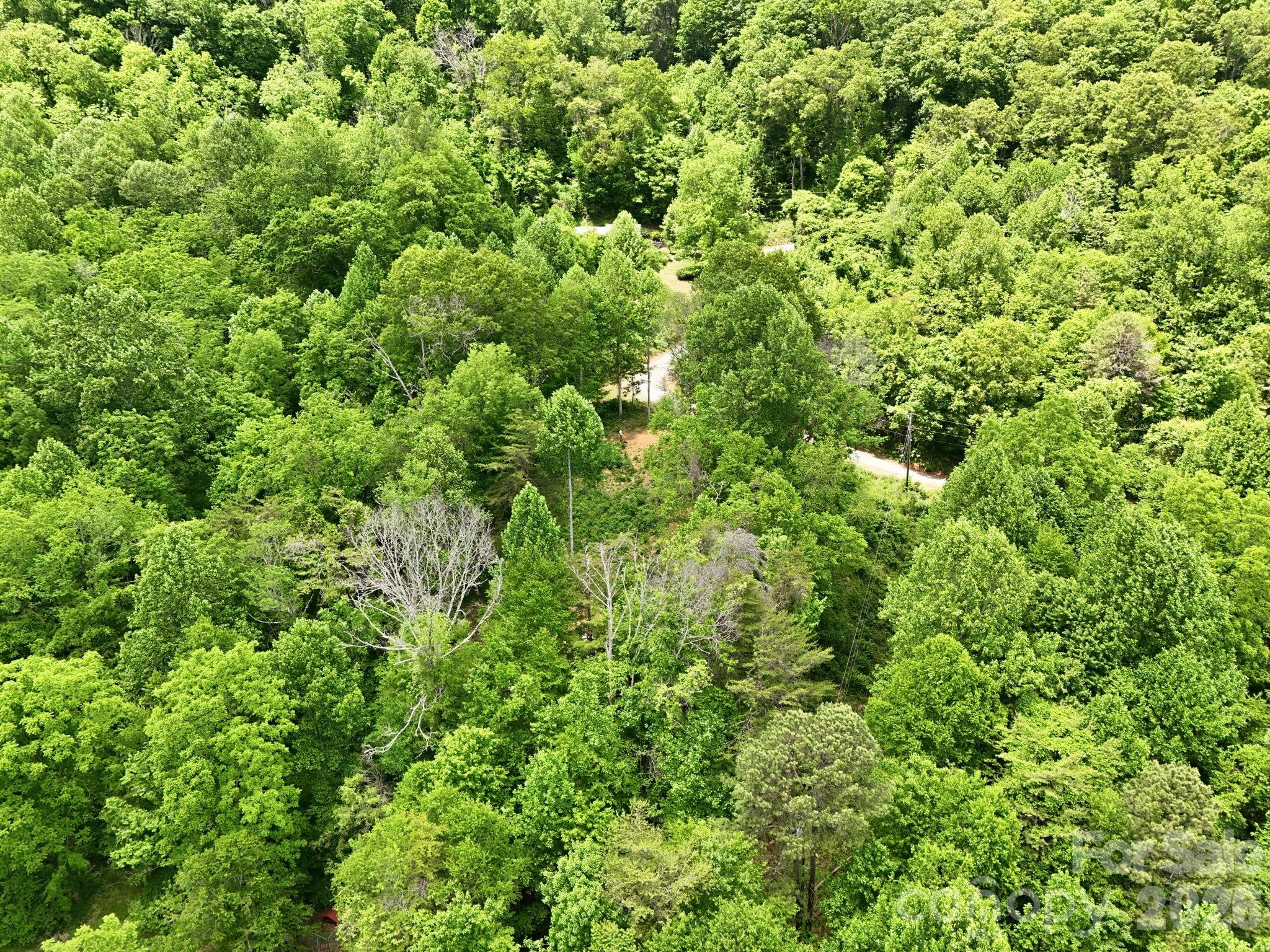 00 Cobblestone Drive Waynesville NC 28786