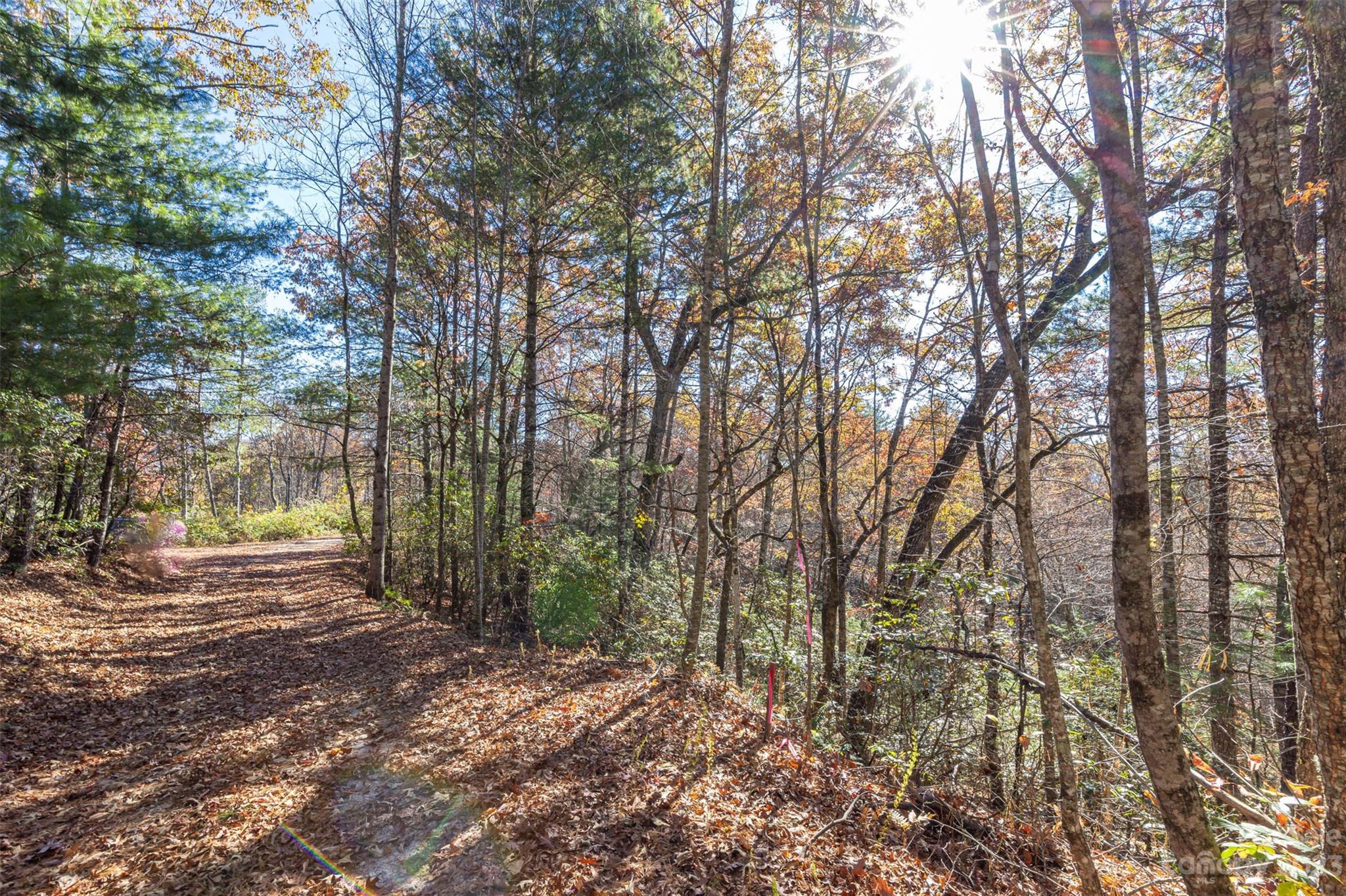 000 Needmore Road Bryson City NC 28713
