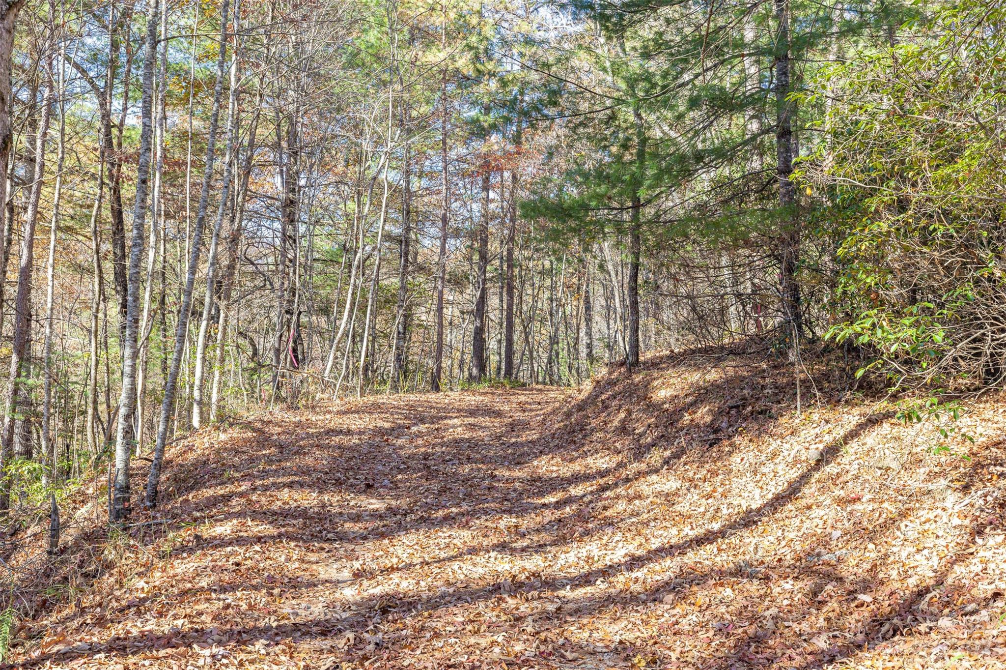 000 Needmore Road Bryson City NC 28713