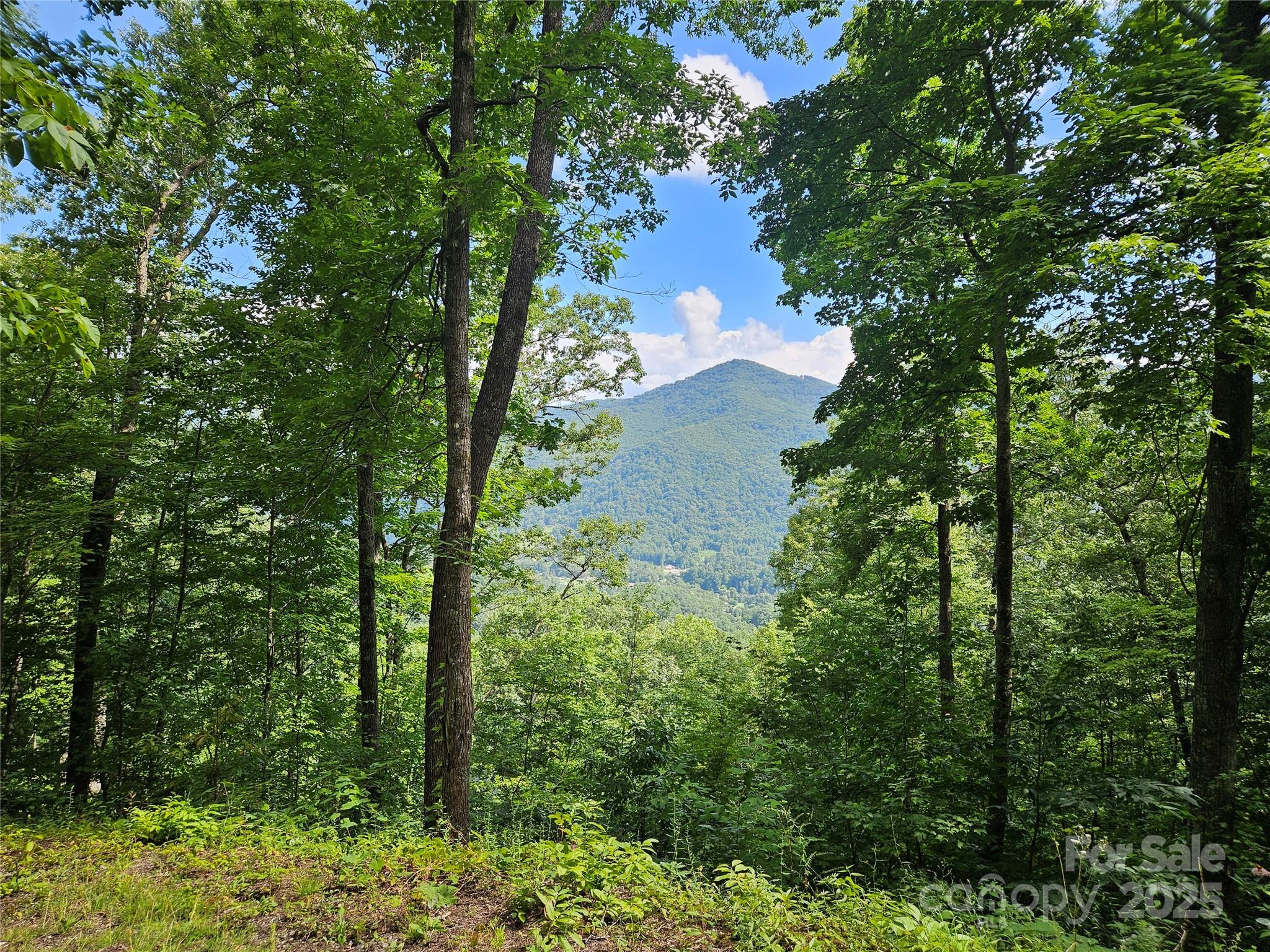 000 Big Boulder Ridge Maggie Valley NC 28751