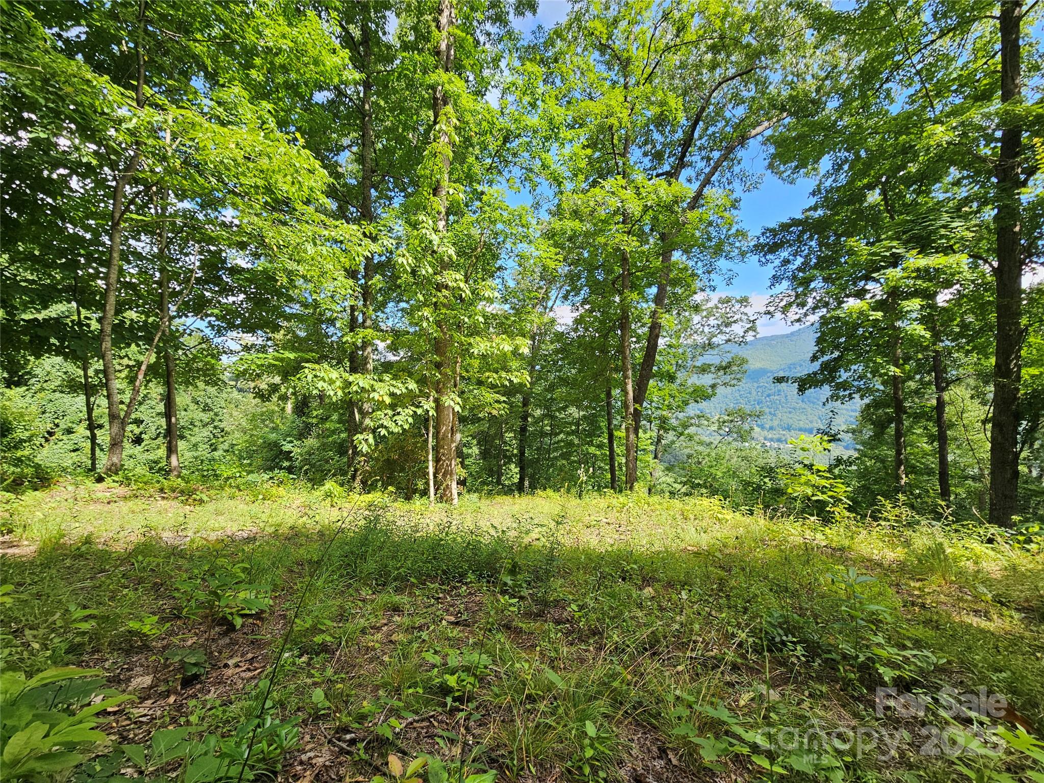 000 Big Boulder Ridge Maggie Valley NC 28751