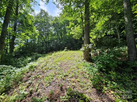 000 Big Boulder Ridge Maggie Valley NC 28751