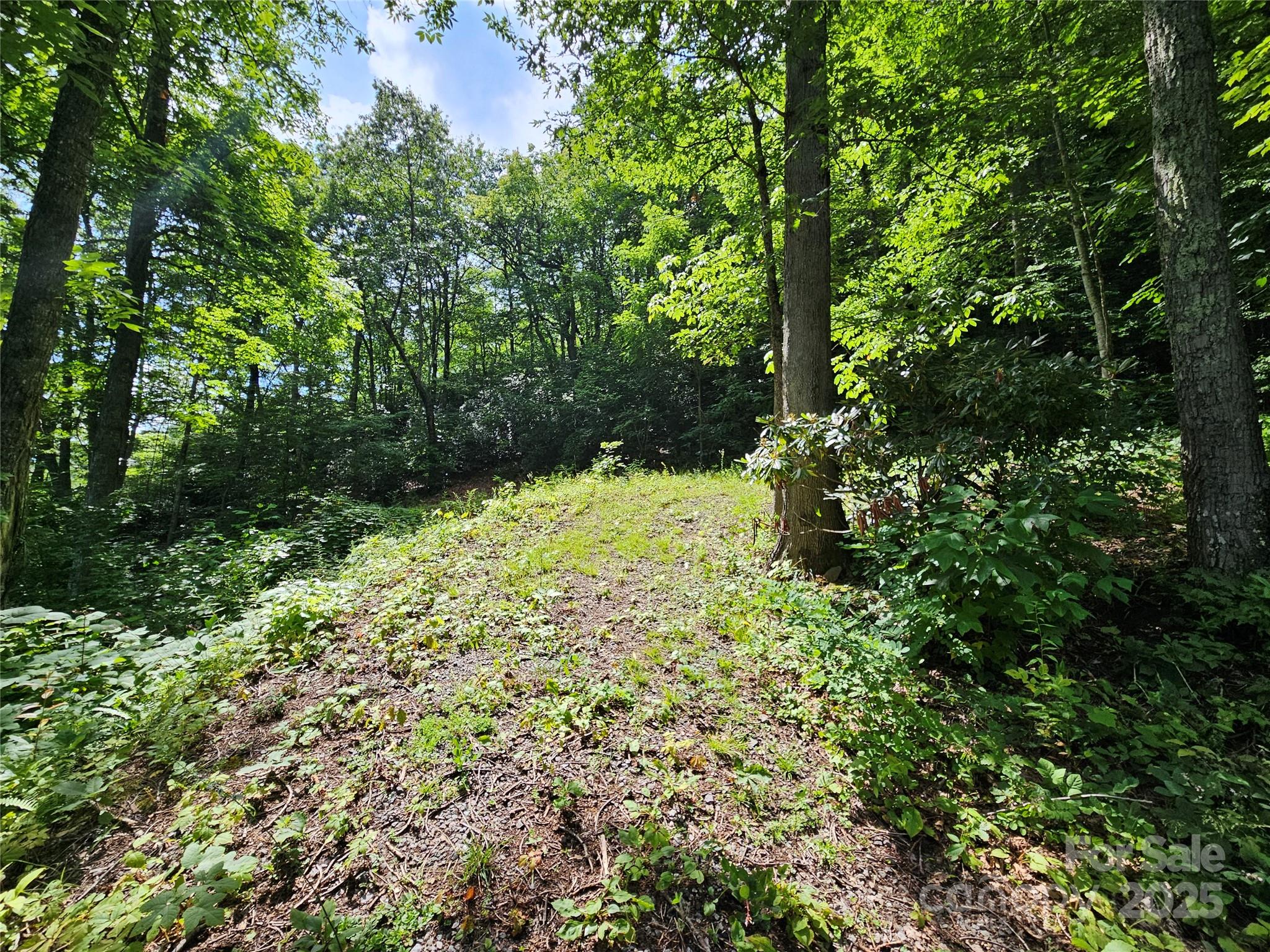 000 Big Boulder Ridge Maggie Valley NC 28751