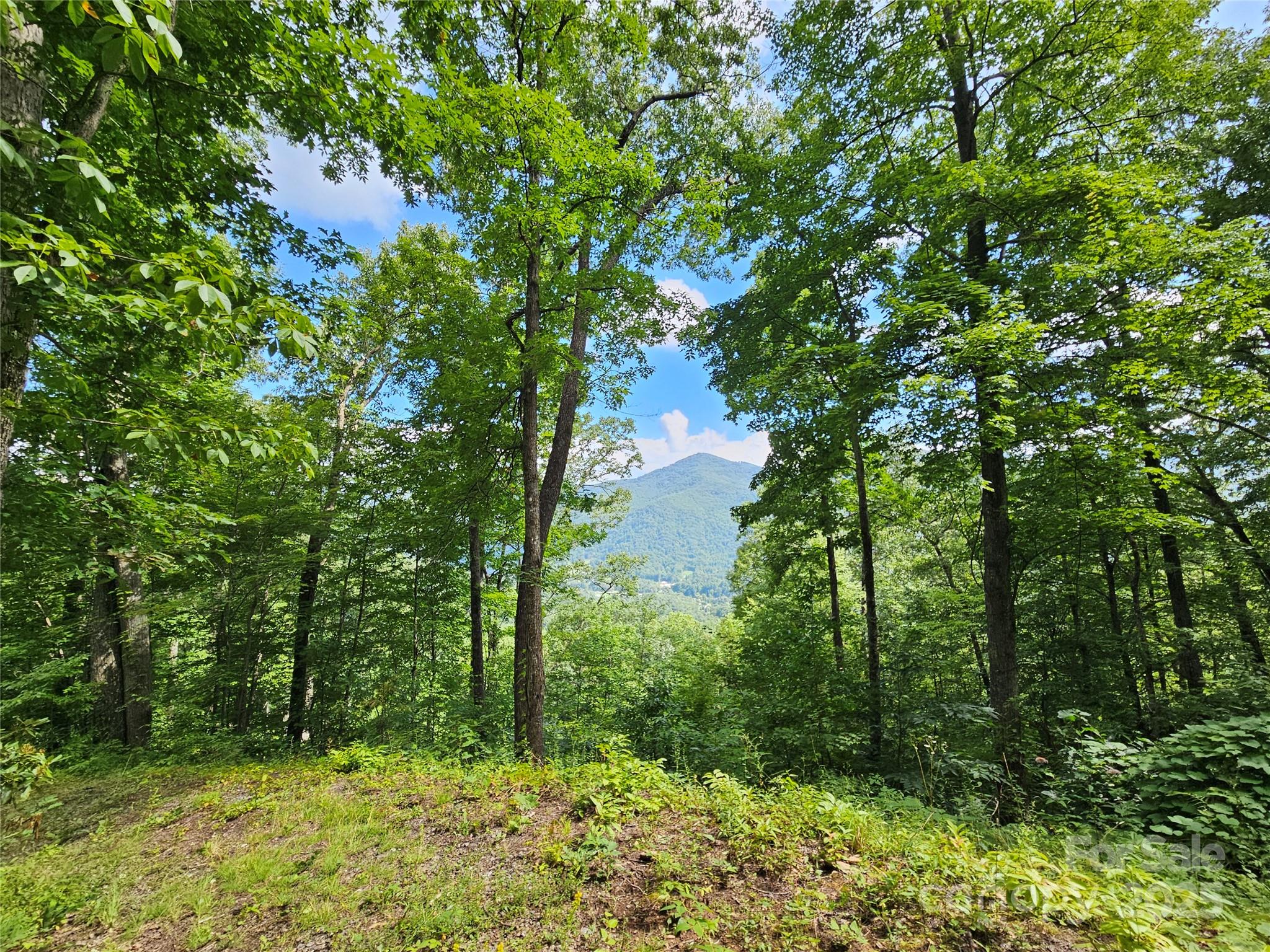 000 Big Boulder Ridge Maggie Valley NC 28751