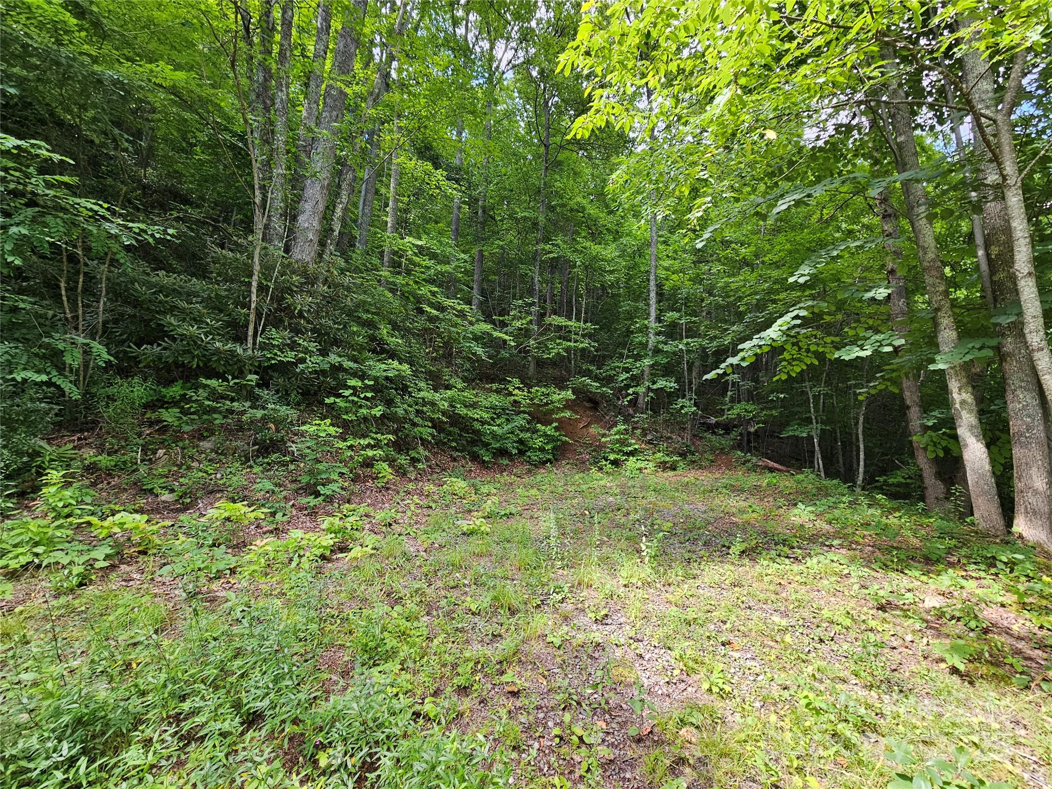 000 Big Boulder Ridge Maggie Valley NC 28751