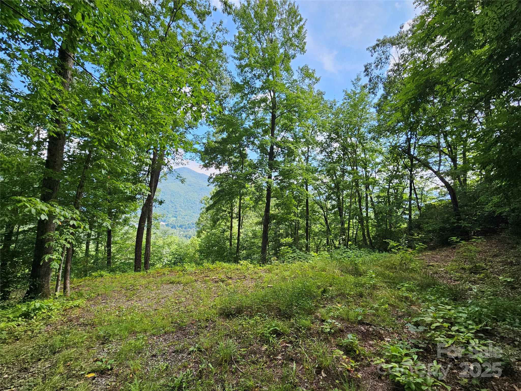 000 Big Boulder Ridge Maggie Valley NC 28751