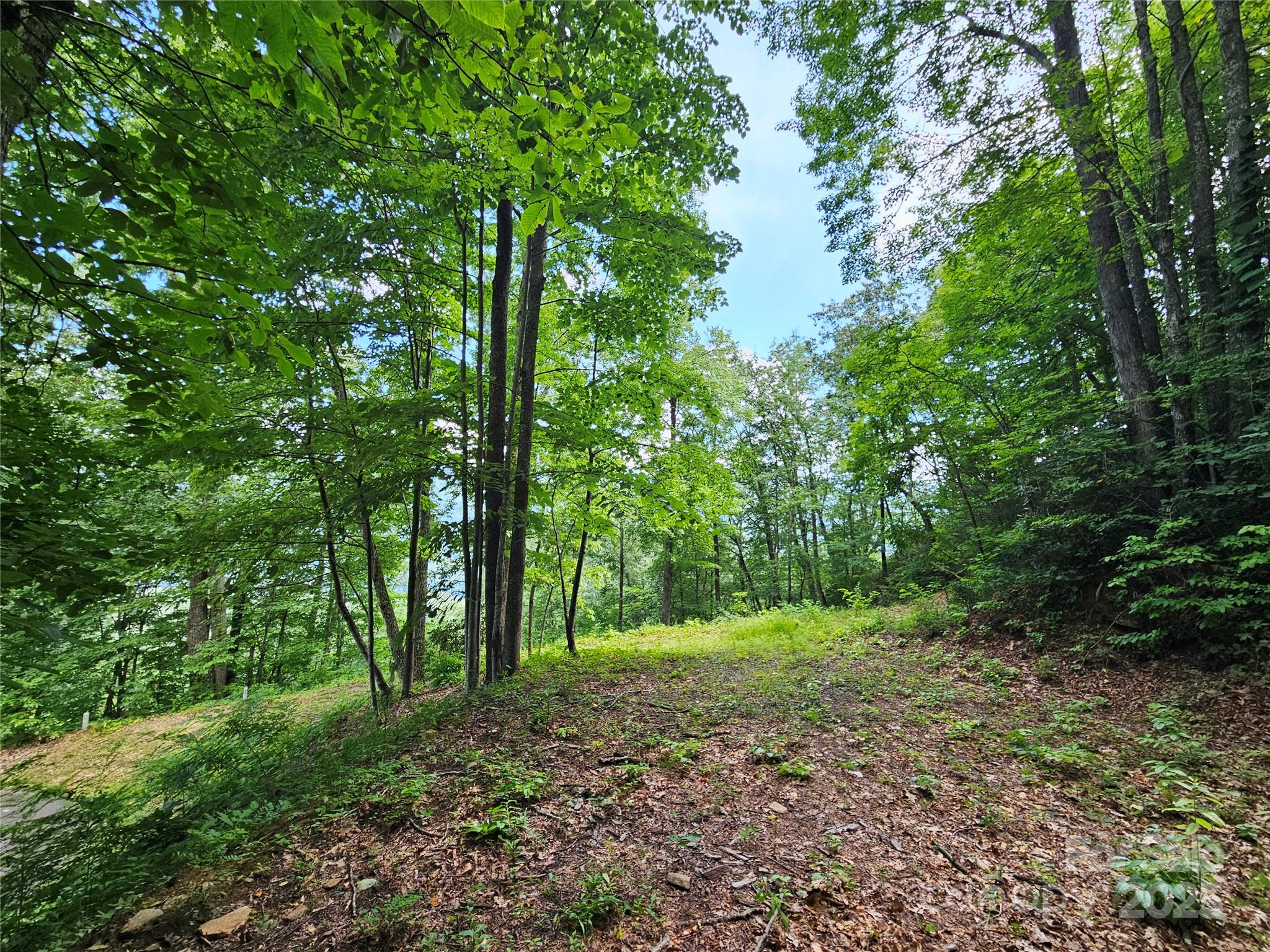 000 Big Boulder Ridge Maggie Valley NC 28751