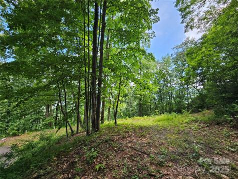 000 Big Boulder Ridge Maggie Valley NC 28751