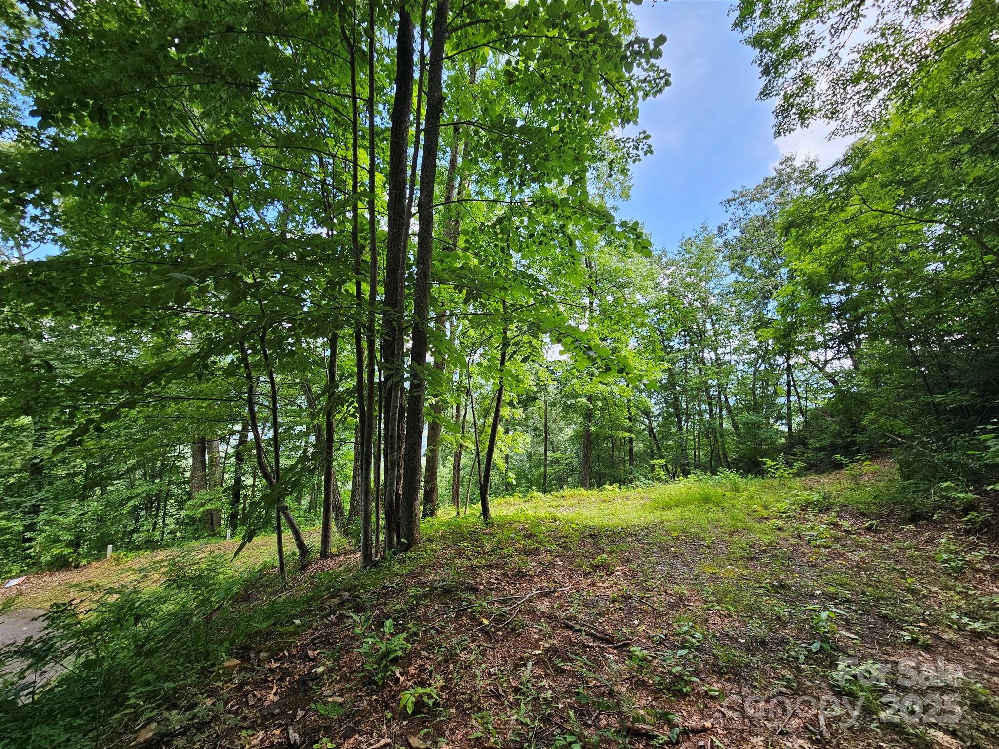 000 Big Boulder Ridge Maggie Valley NC 28751