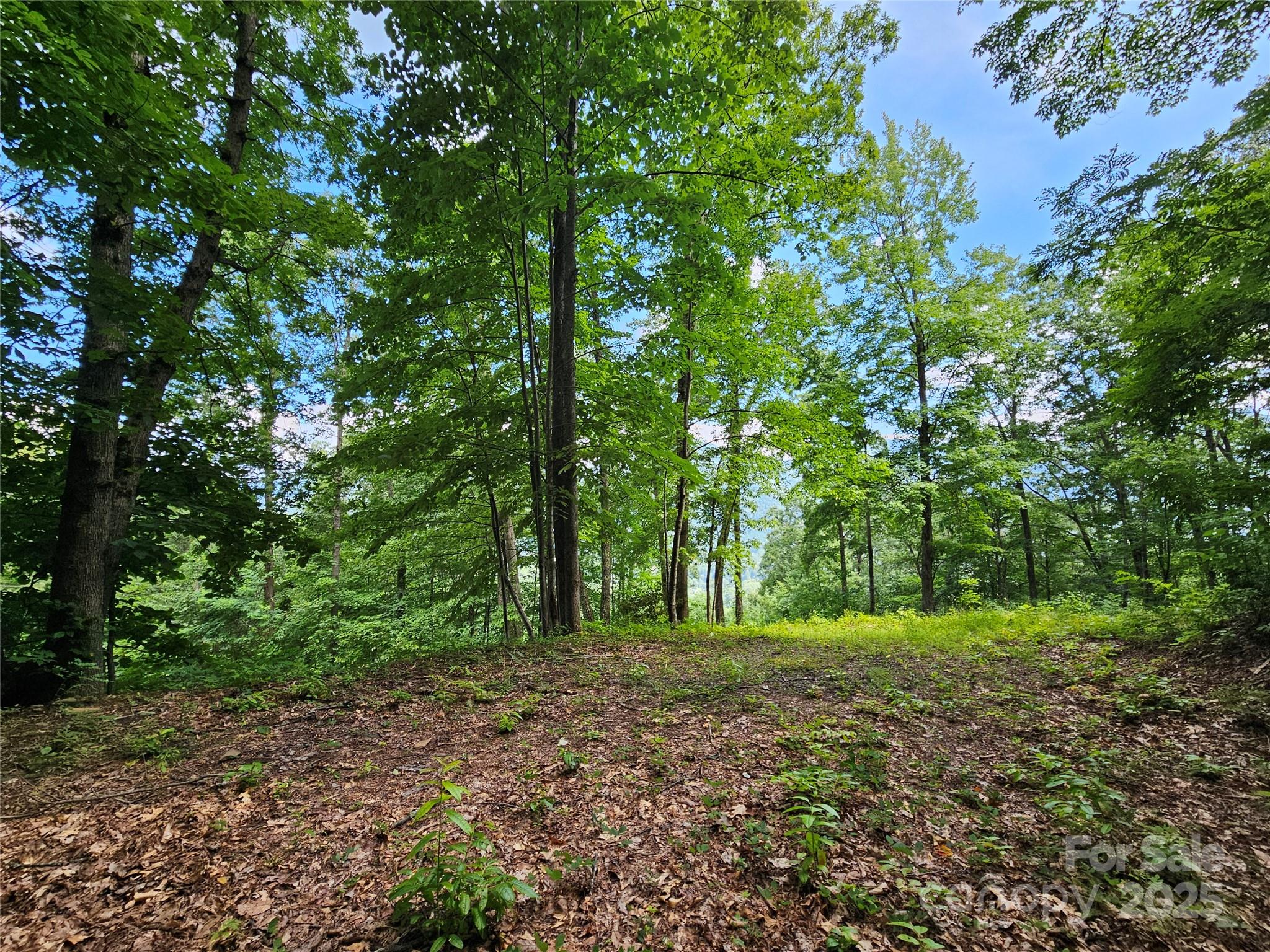 000 Big Boulder Ridge Maggie Valley NC 28751