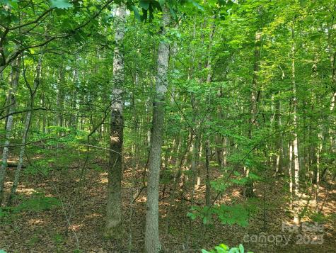 L177 Laurel Cove Road Statesville NC 28677