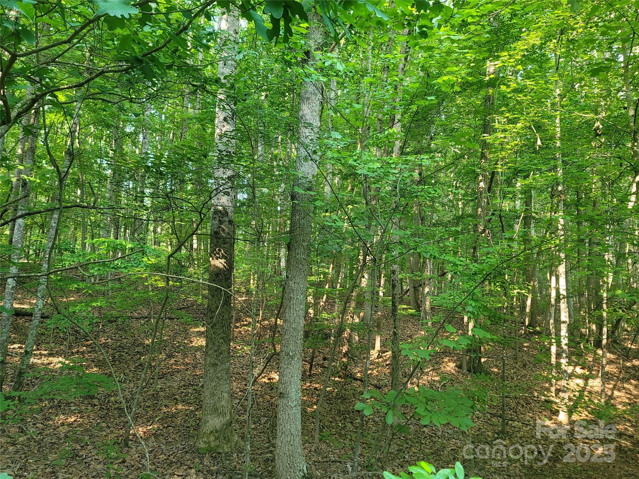 L177 Laurel Cove Road Statesville NC 28677