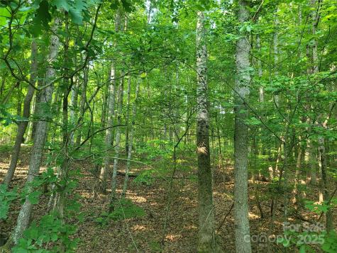 L177 Laurel Cove Road Statesville NC 28677
