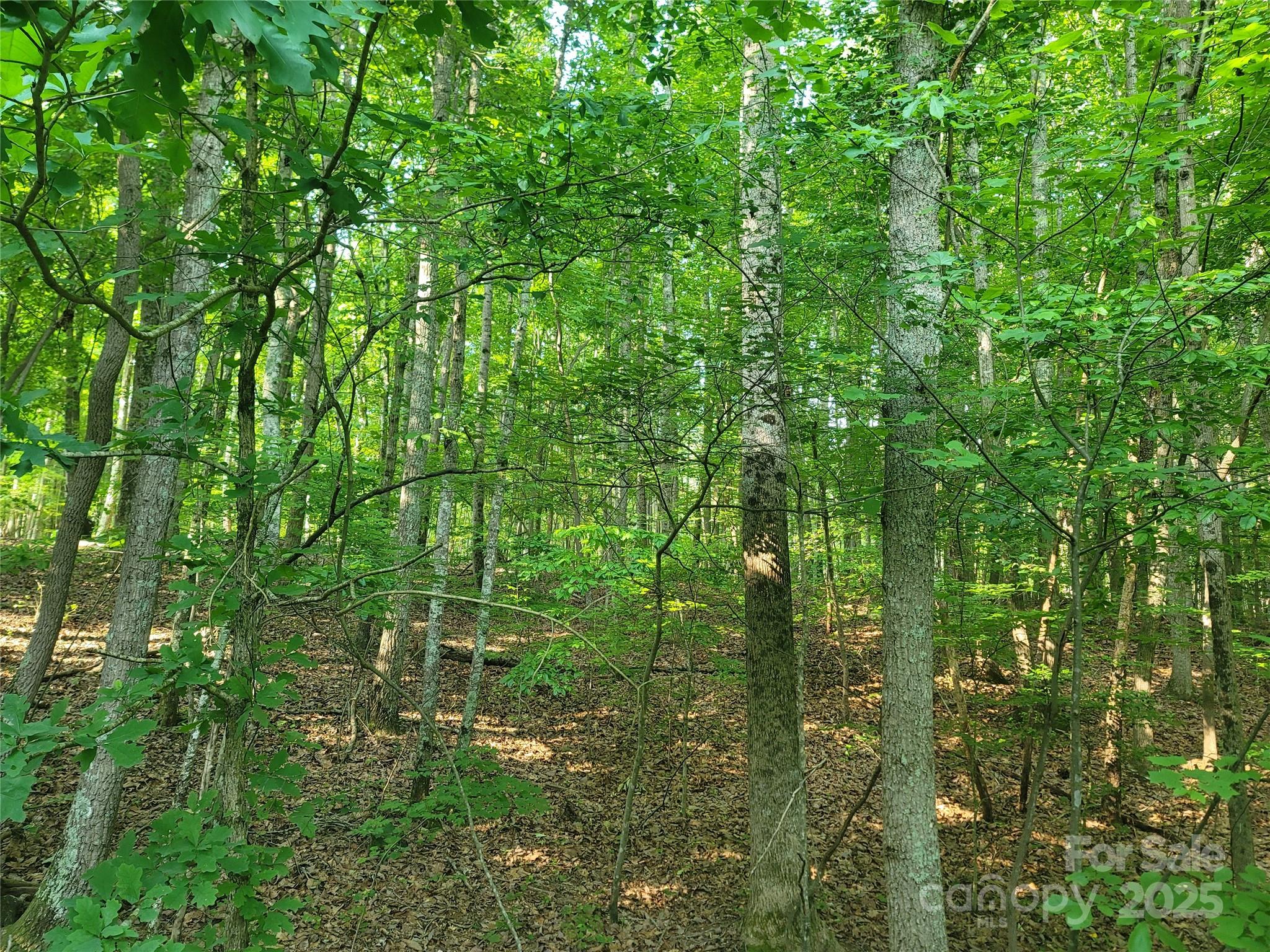 L177 Laurel Cove Road Statesville NC 28677