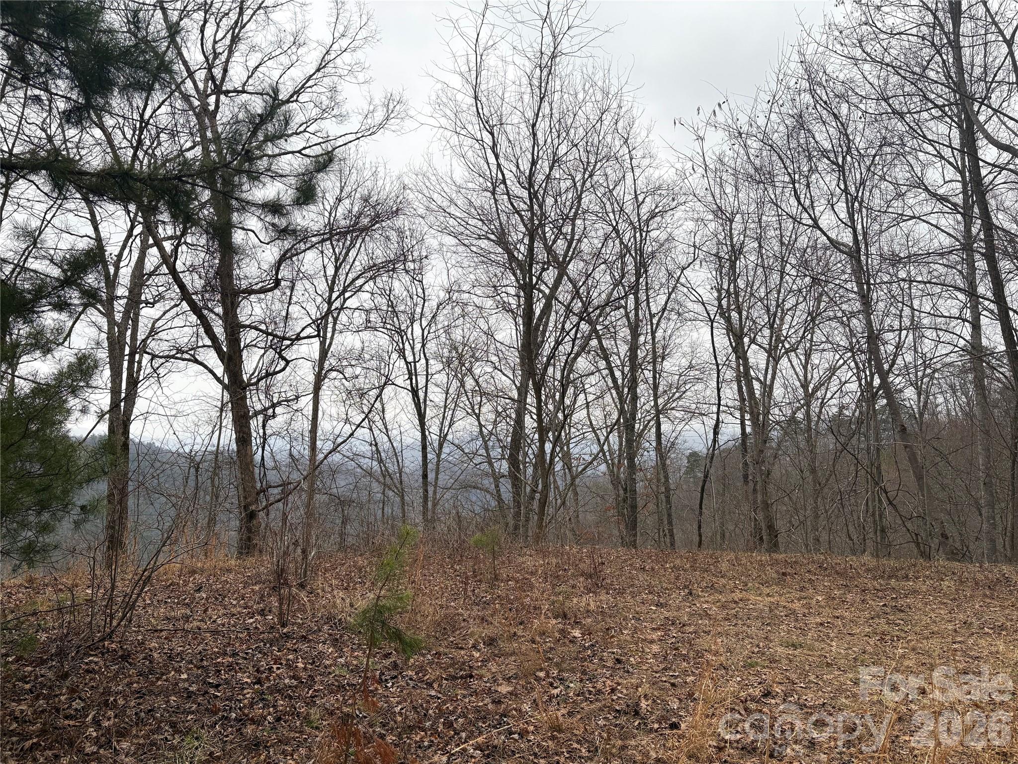 0 Brush Creek Road Bryson City NC 28713