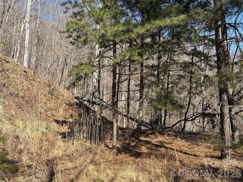 0 Brush Creek Road Bryson City NC 28713