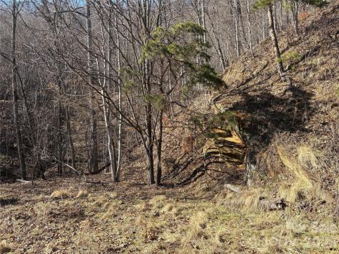 0 Brush Creek Road Bryson City NC 28713