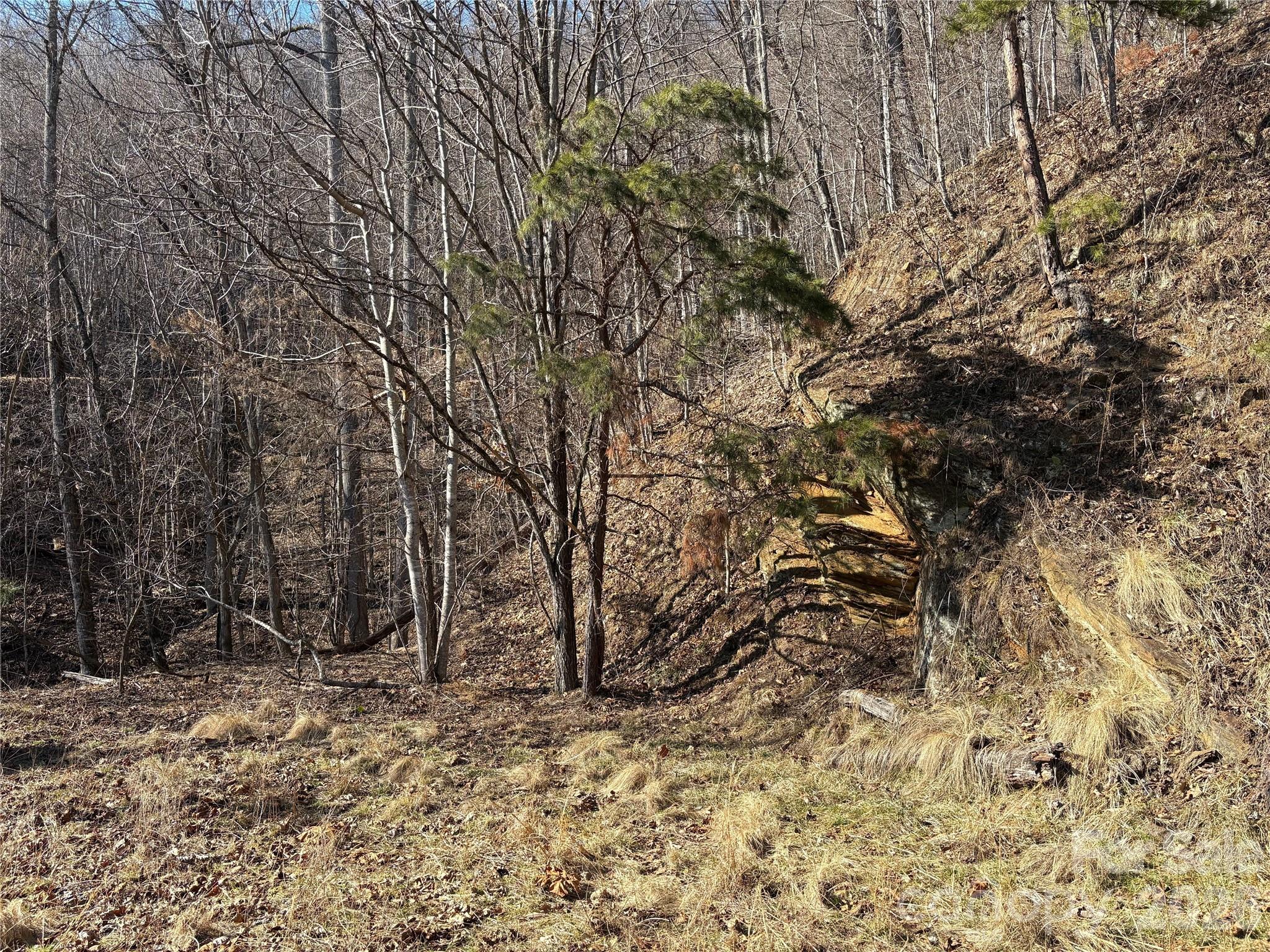0 Brush Creek Road Bryson City NC 28713