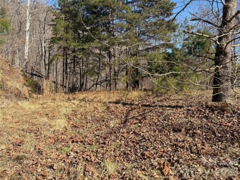 0 Brush Creek Road Bryson City NC 28713