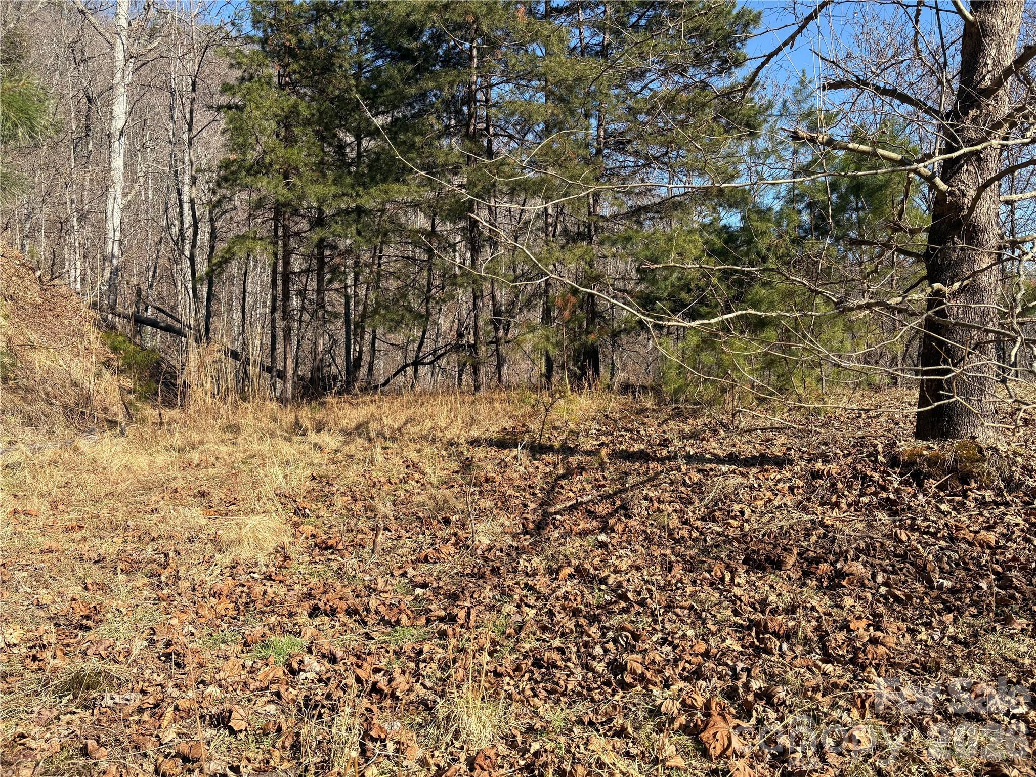 0 Brush Creek Road Bryson City NC 28713