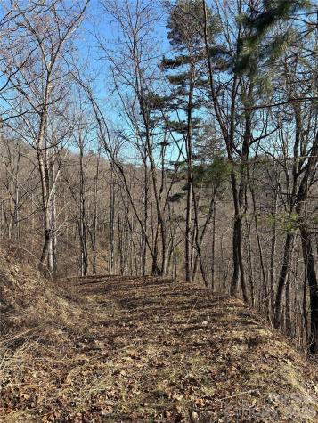 0 Brush Creek Road Bryson City NC 28713