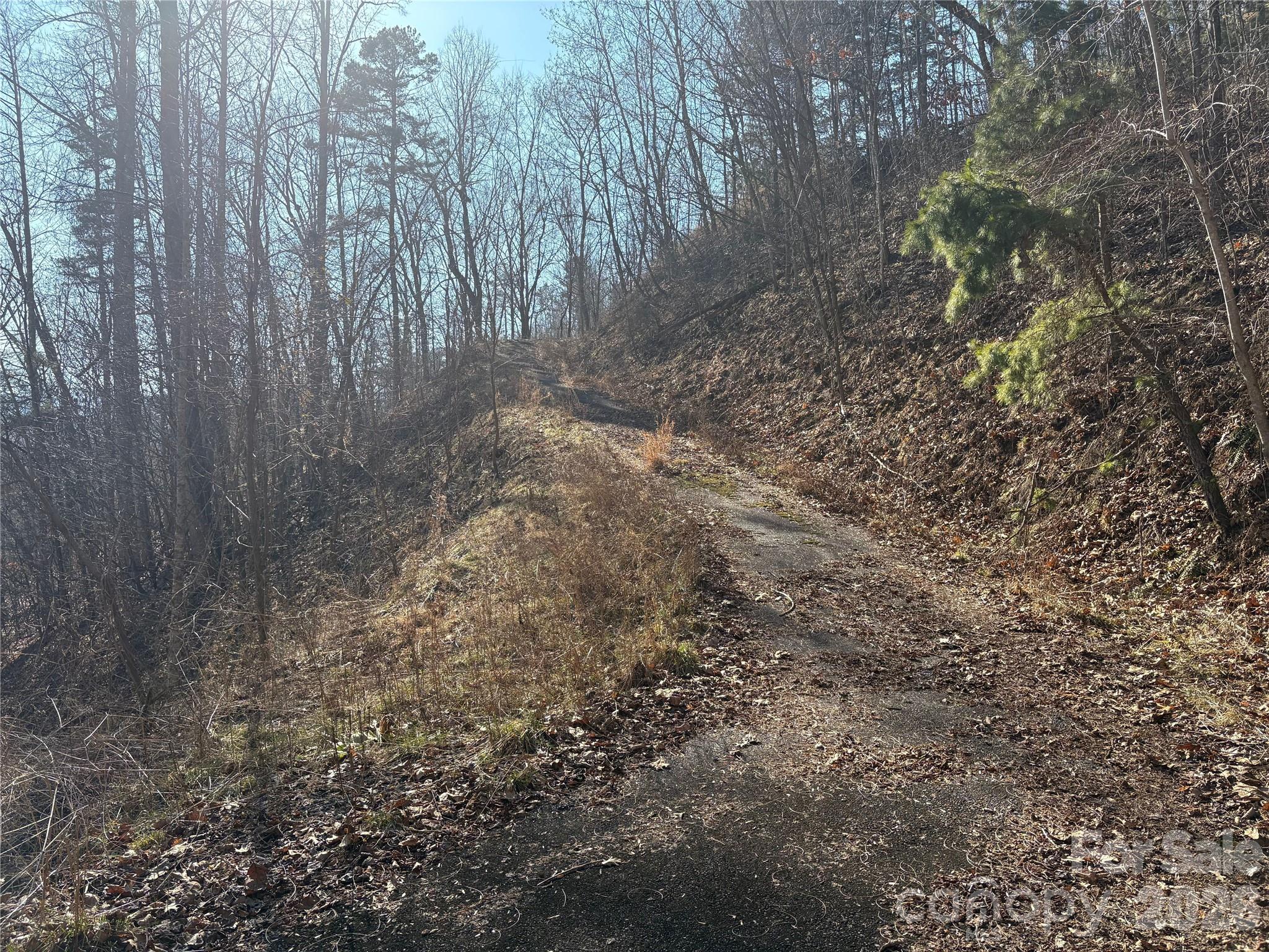 0 Brush Creek Road Bryson City NC 28713
