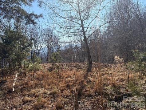 0 Brush Creek Road Bryson City NC 28713