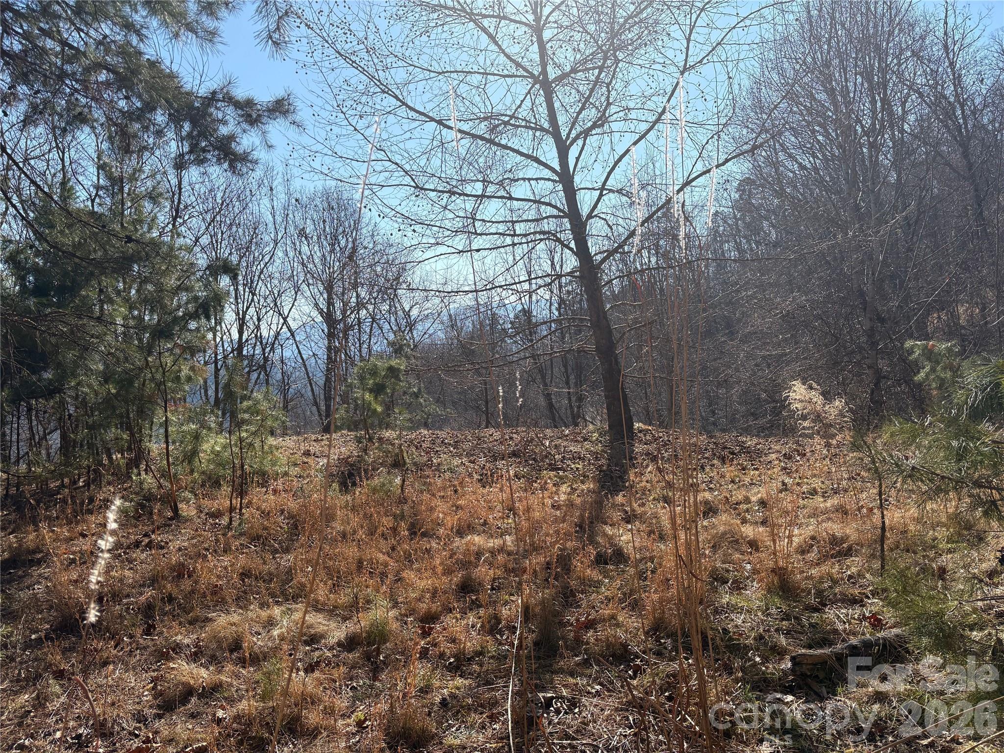 0 Brush Creek Road Bryson City NC 28713