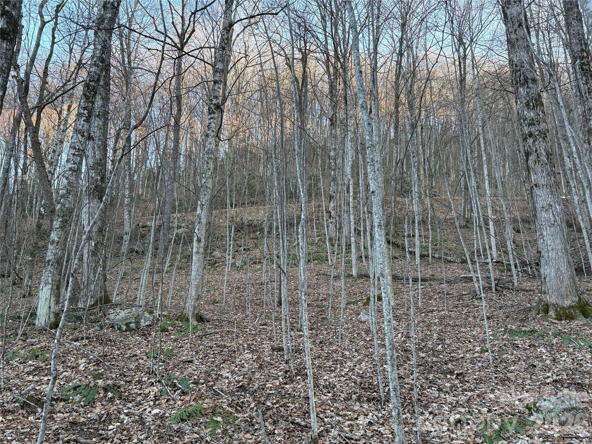 0 Brush Creek Road Bryson City NC 28713