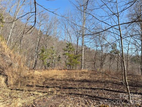 0 Brush Creek Road Bryson City NC 28713