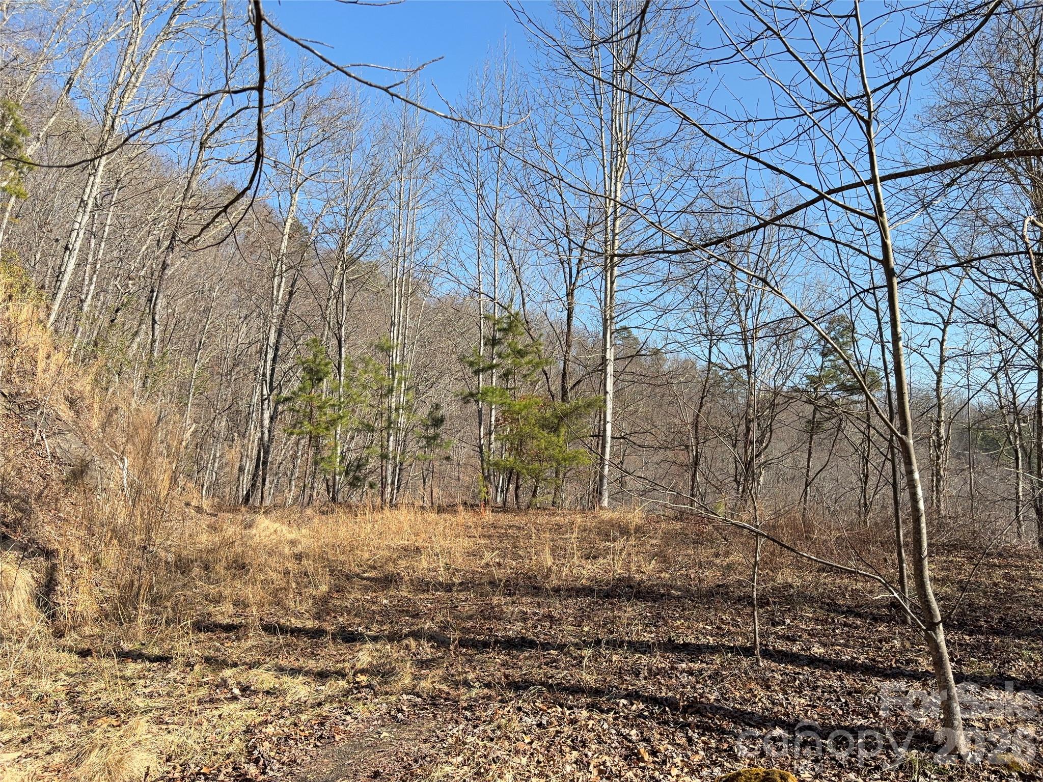 0 Brush Creek Road Bryson City NC 28713