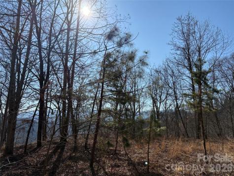 0 Brush Creek Road Bryson City NC 28713