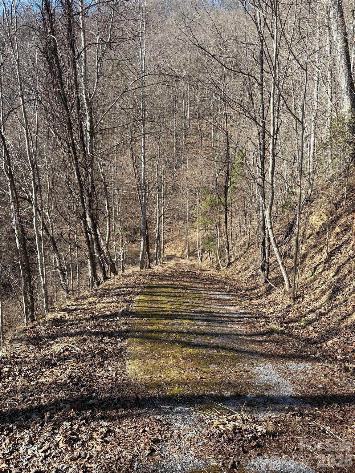 0 Brush Creek Road Bryson City NC 28713