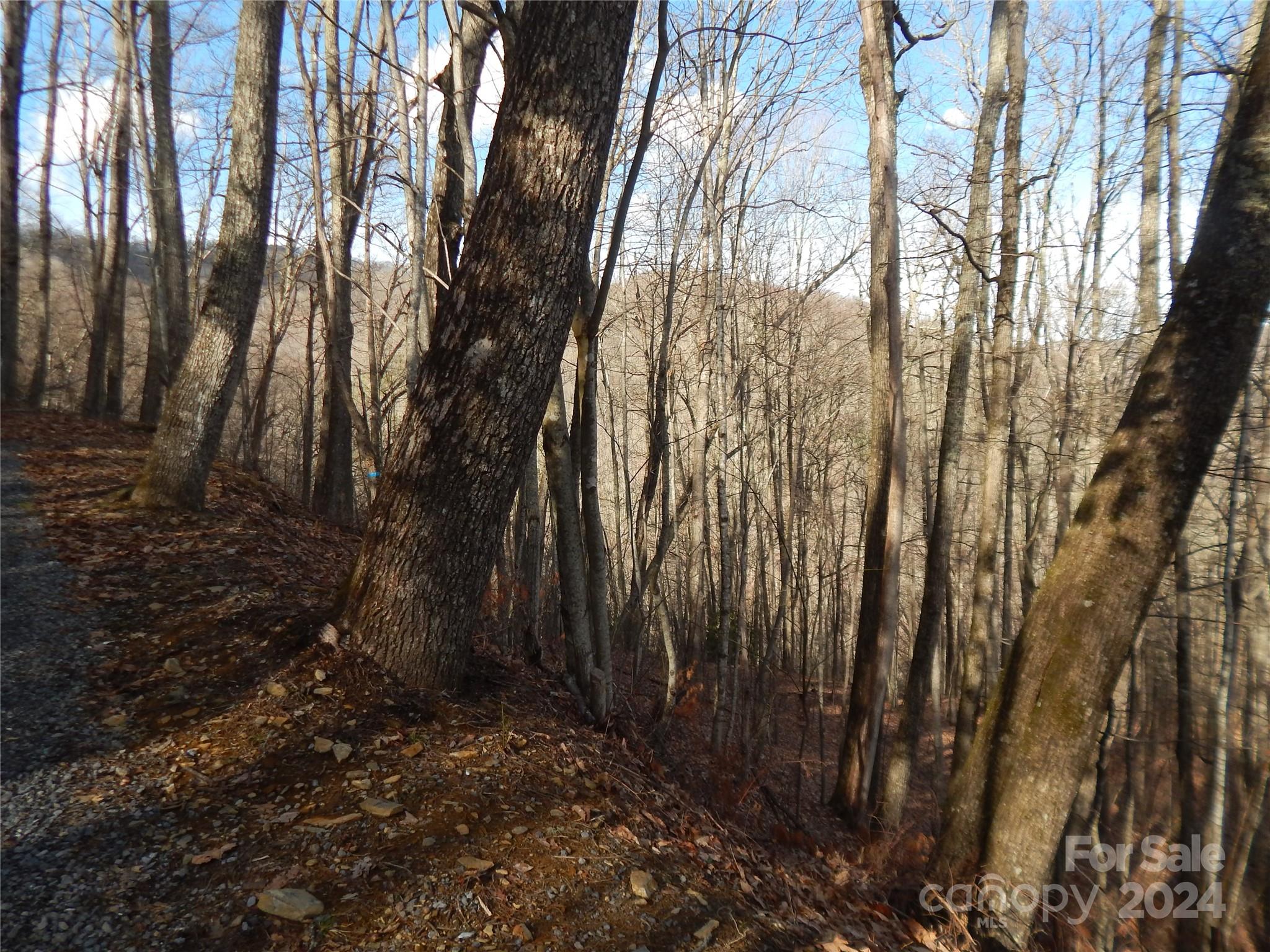00 Hoot Owl Bill Road Maggie Valley NC 28751