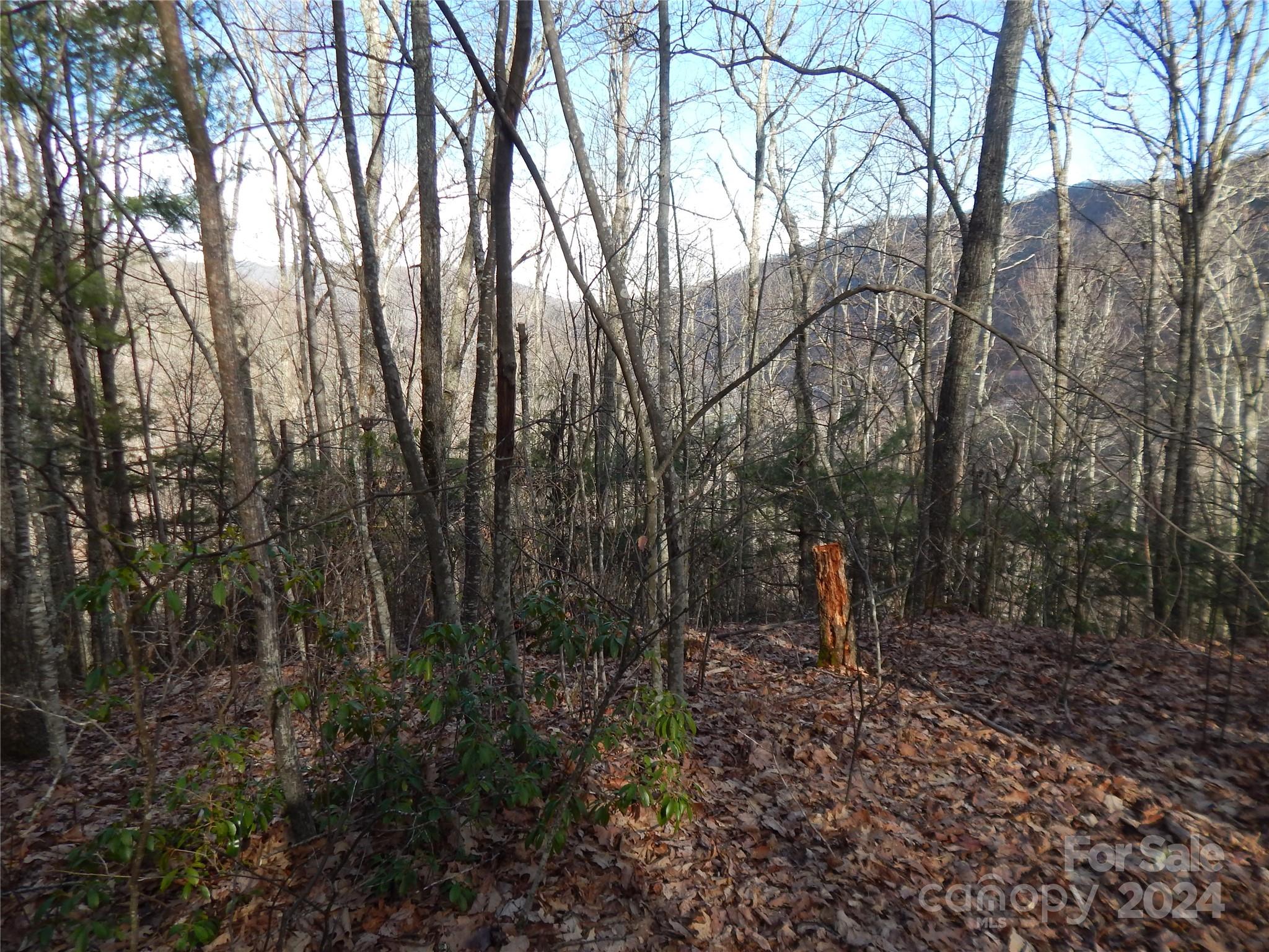 00 Hoot Owl Bill Road Maggie Valley NC 28751