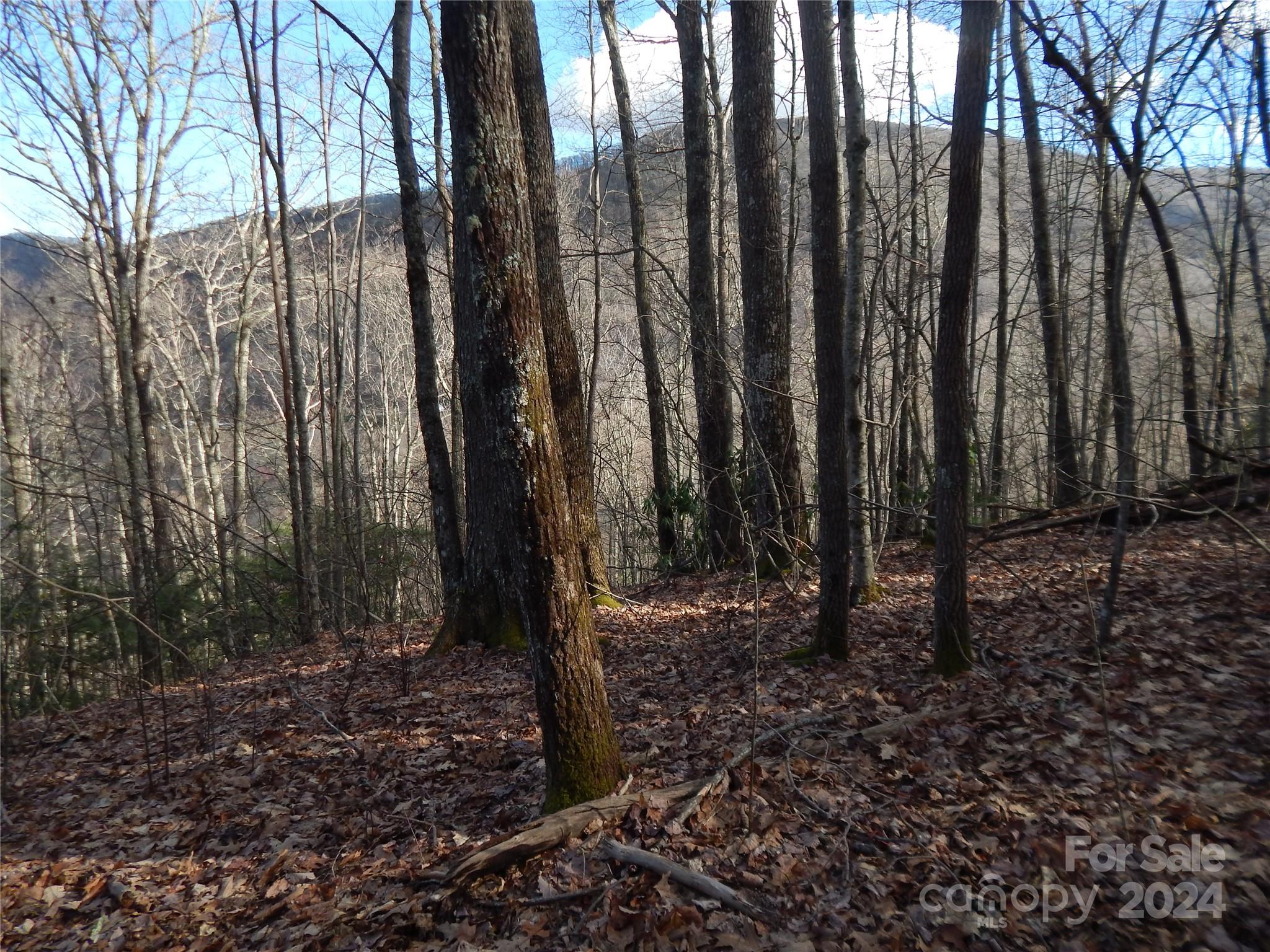 00 Hoot Owl Bill Road Maggie Valley NC 28751
