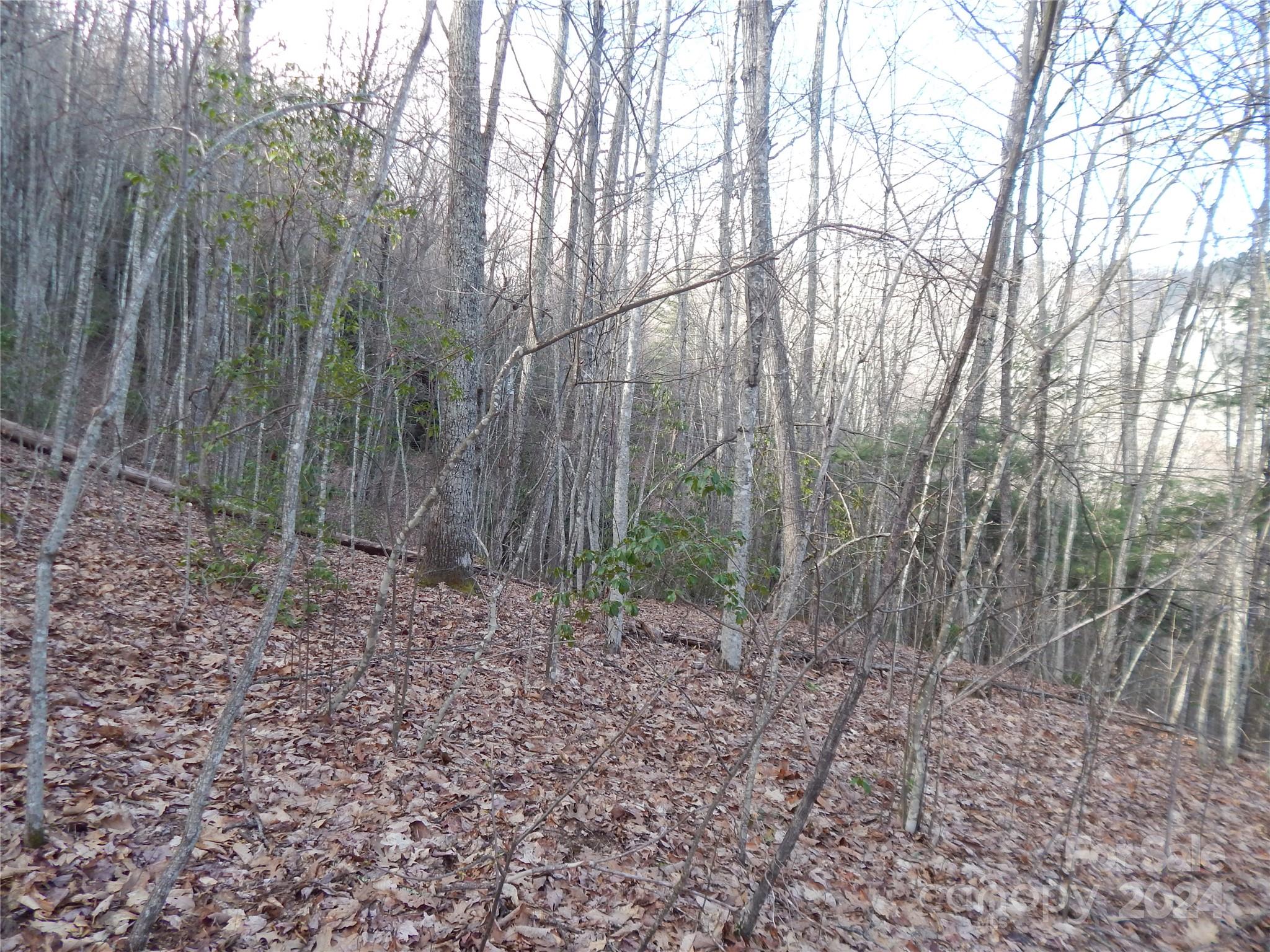 00 Hoot Owl Bill Road Maggie Valley NC 28751