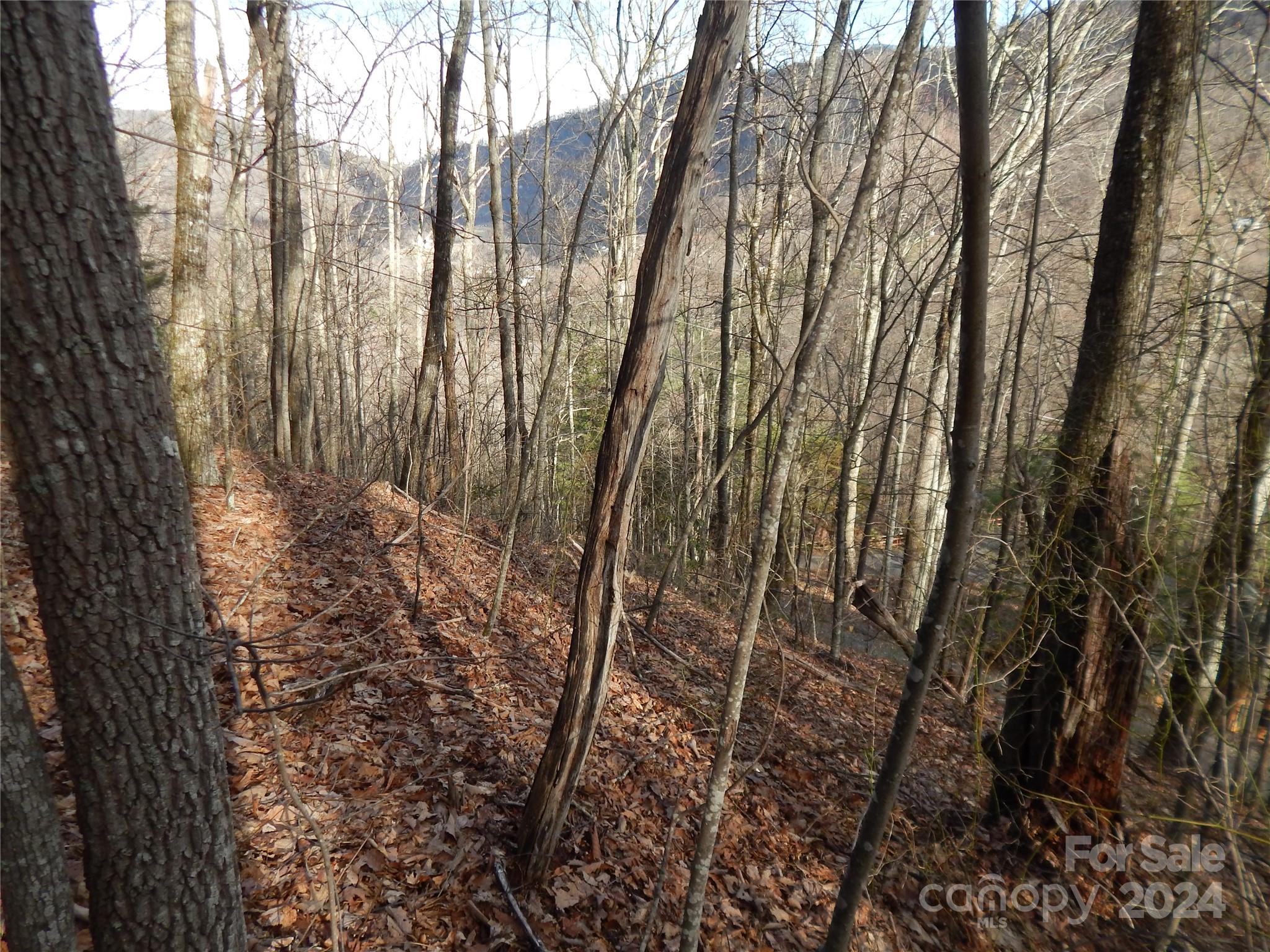 00 Hoot Owl Bill Road Maggie Valley NC 28751