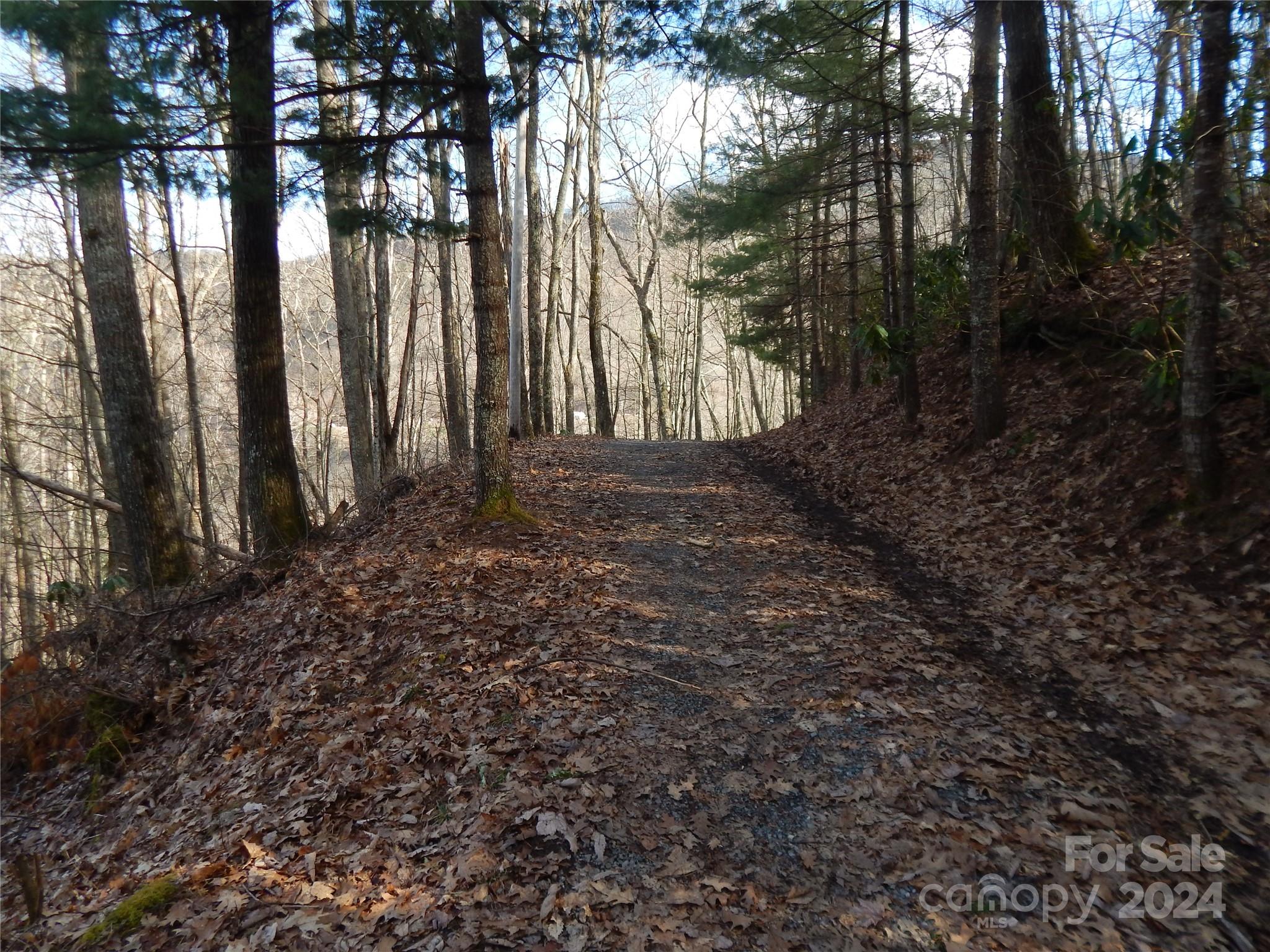 00 Hoot Owl Bill Road Maggie Valley NC 28751