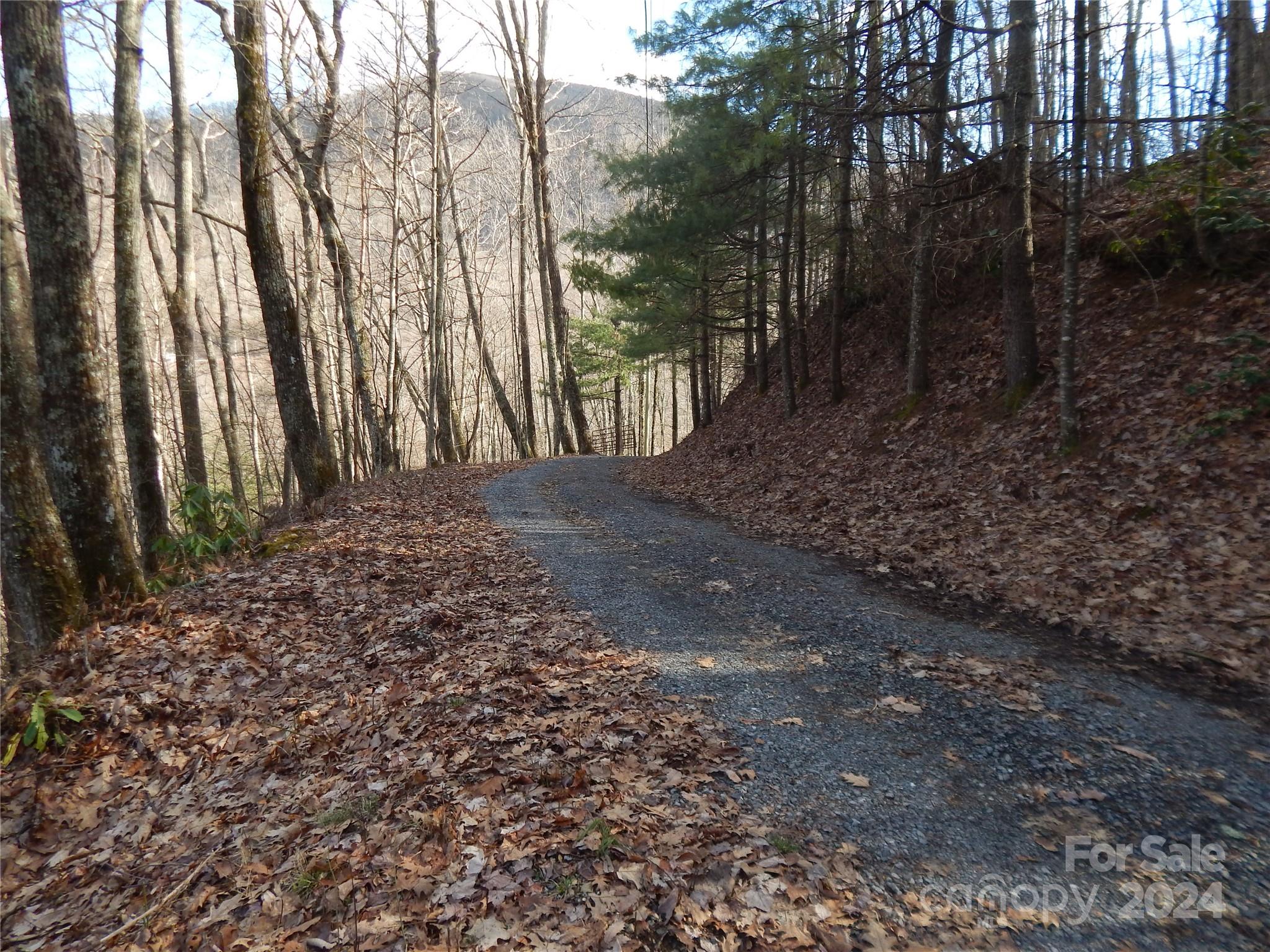 00 Hoot Owl Bill Road Maggie Valley NC 28751