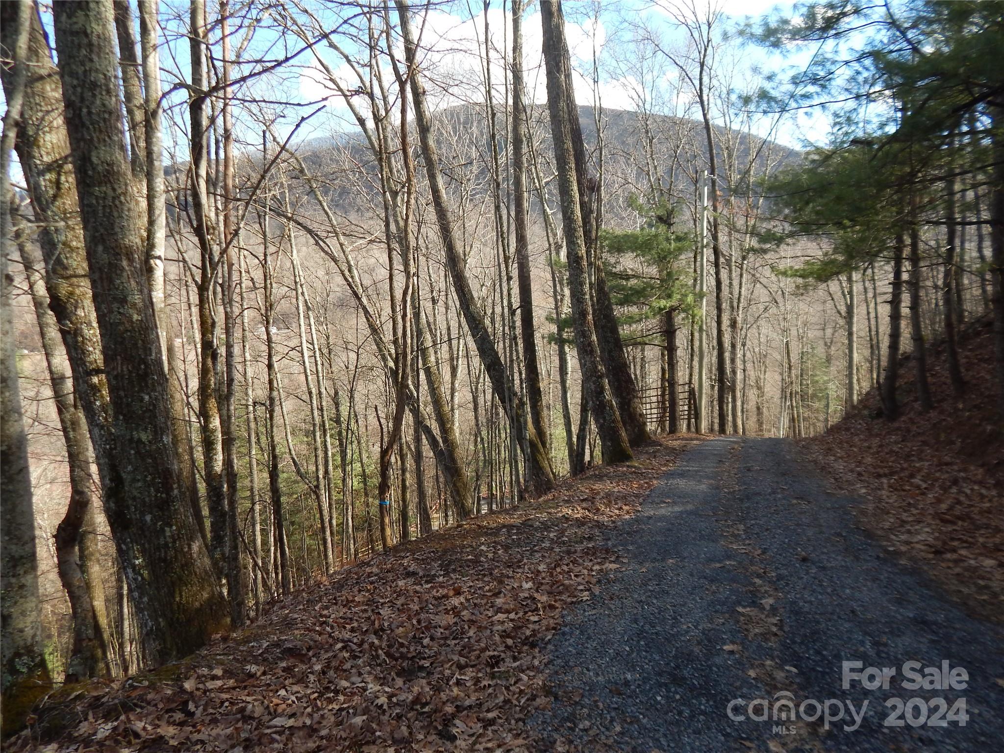 00 Hoot Owl Bill Road Maggie Valley NC 28751
