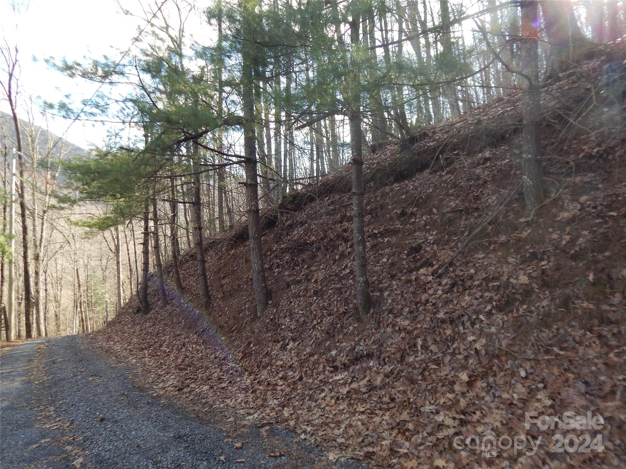 00 Hoot Owl Bill Road Maggie Valley NC 28751