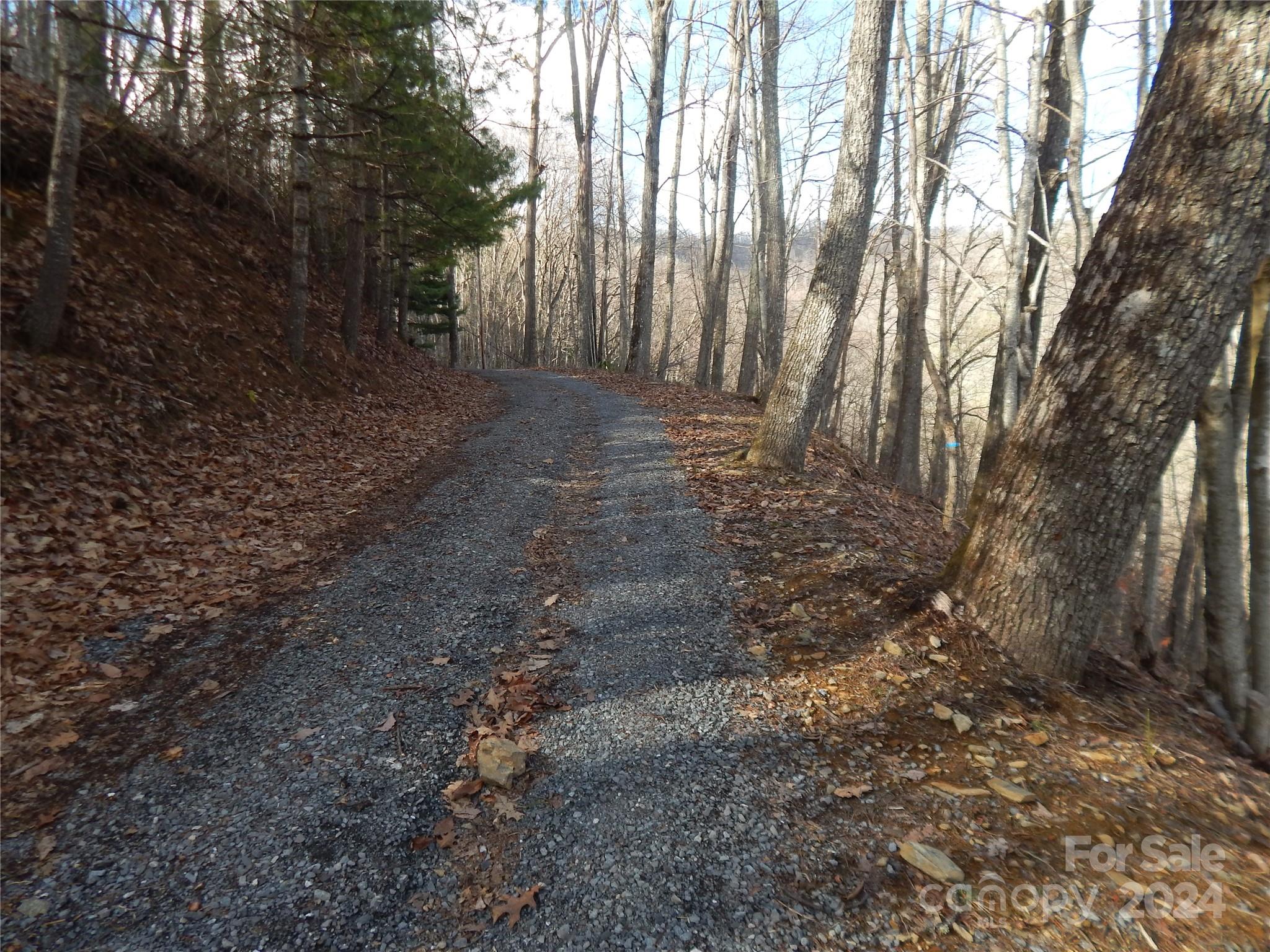 00 Hoot Owl Bill Road Maggie Valley NC 28751