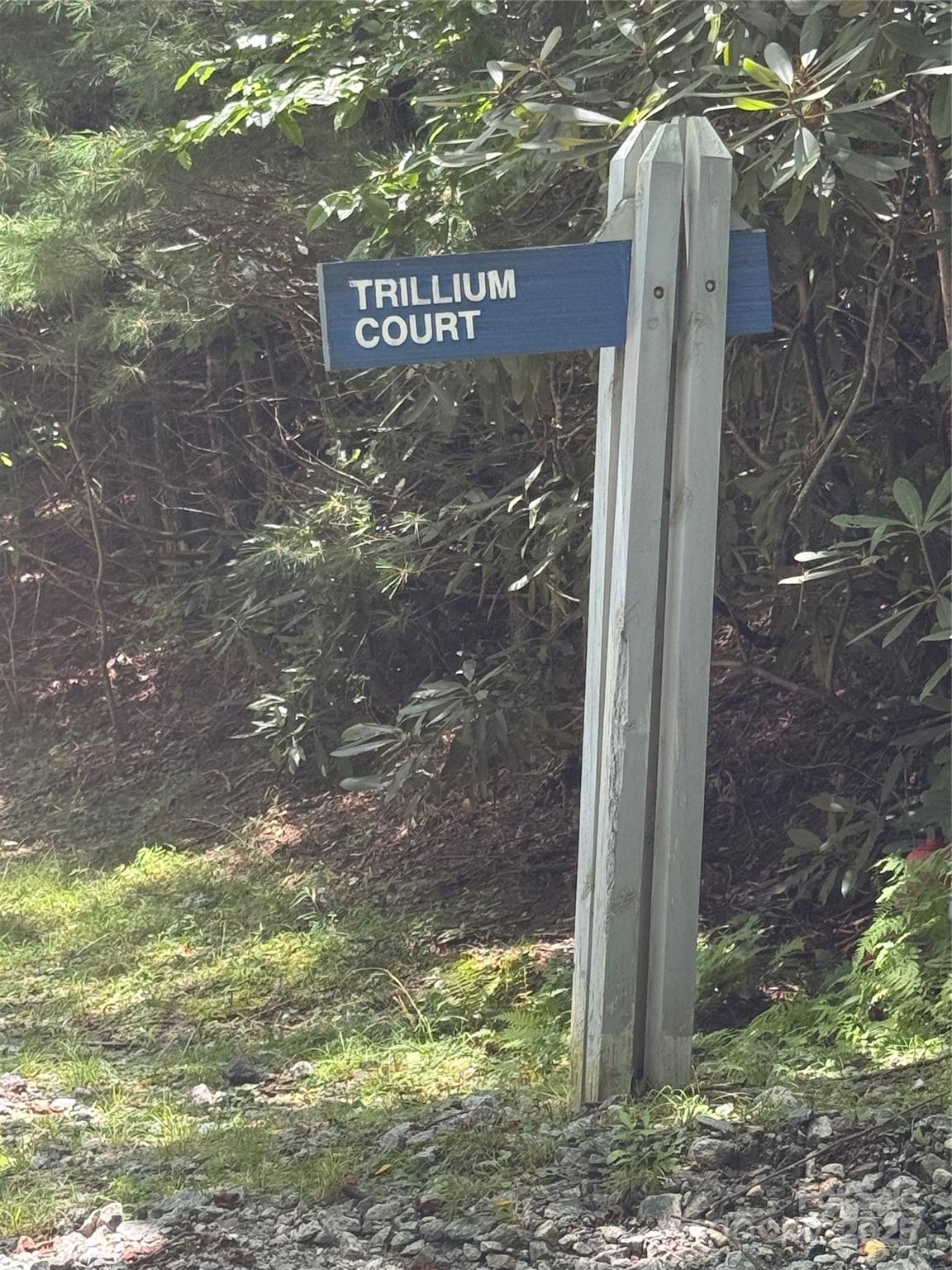 000 Trillium Court Sapphire NC 28774