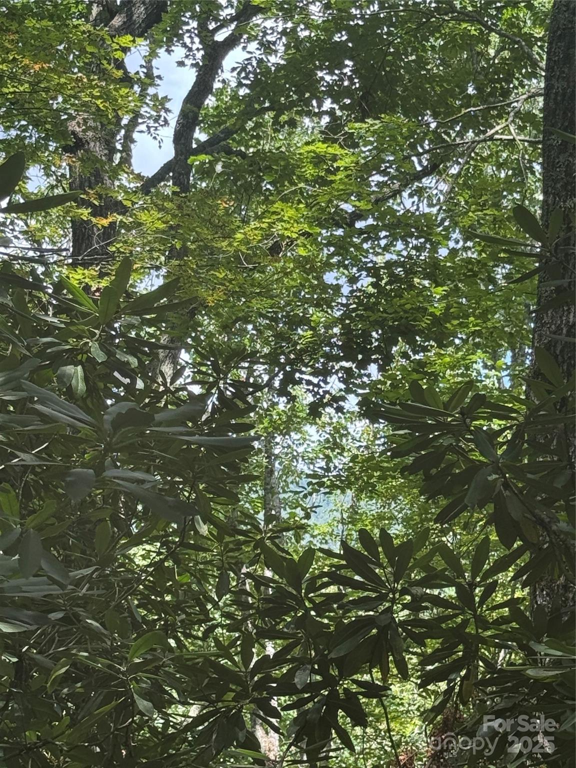 000 Trillium Court Sapphire NC 28774