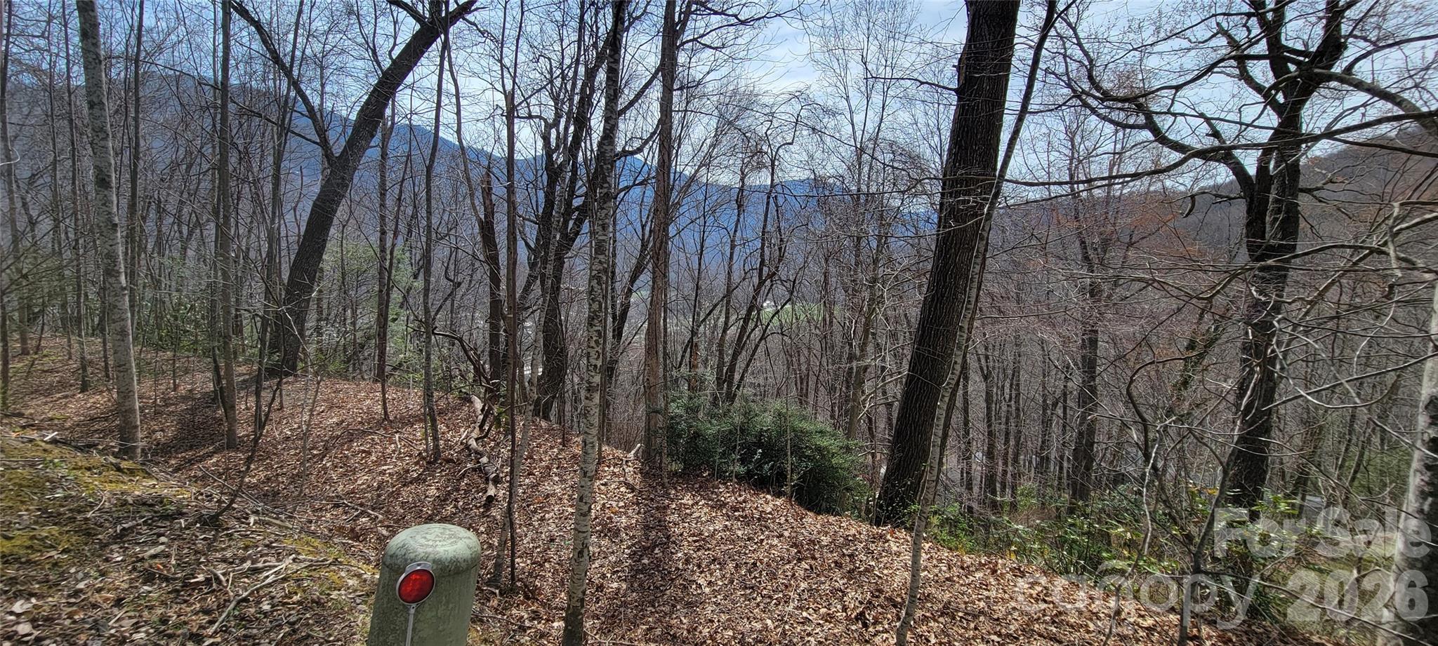 99999 Maplewood Drive Maggie Valley NC 28751
